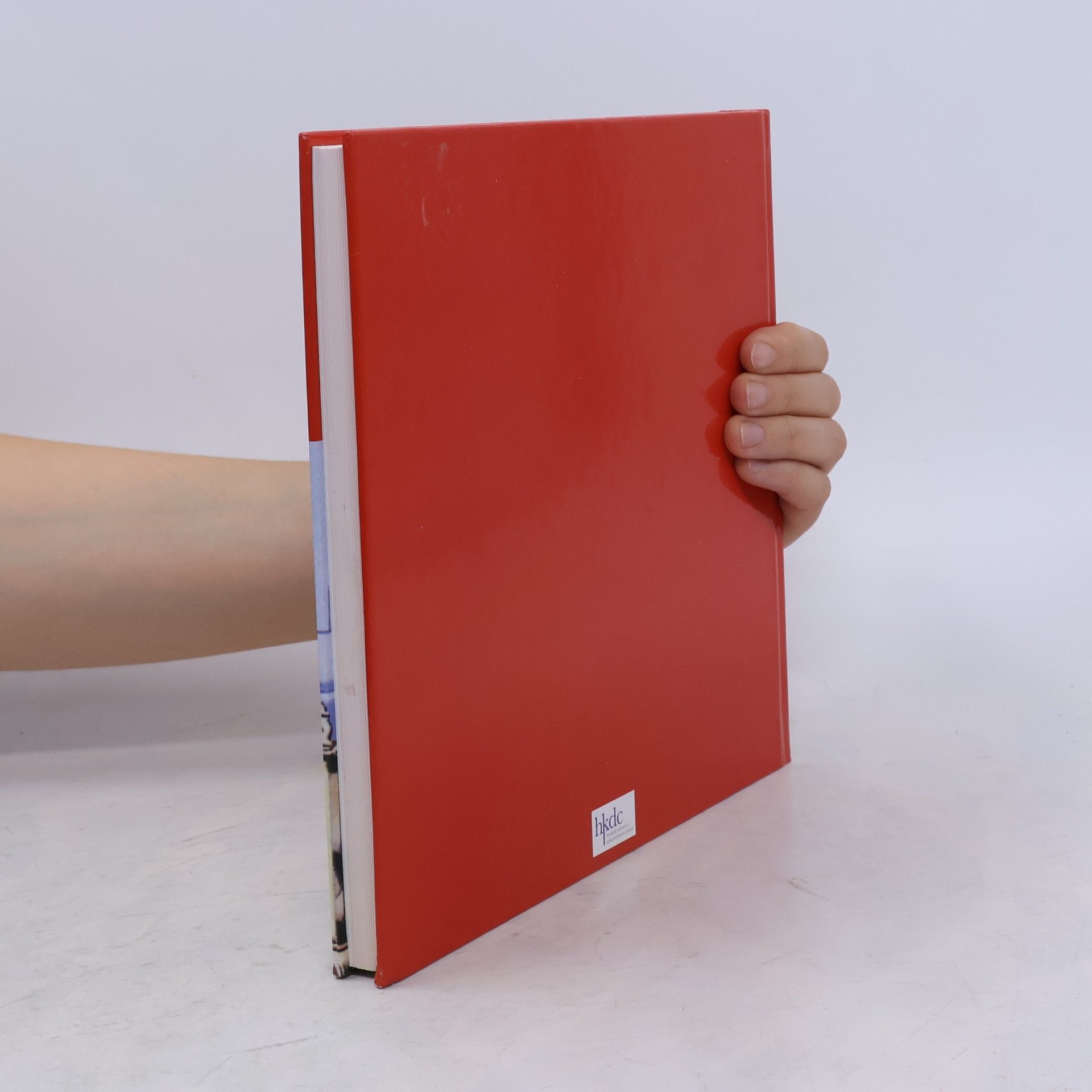 Autorenkollektiv Kroatisches Kulinarium Zillingtal/Hrvatski kulinarijum celindof