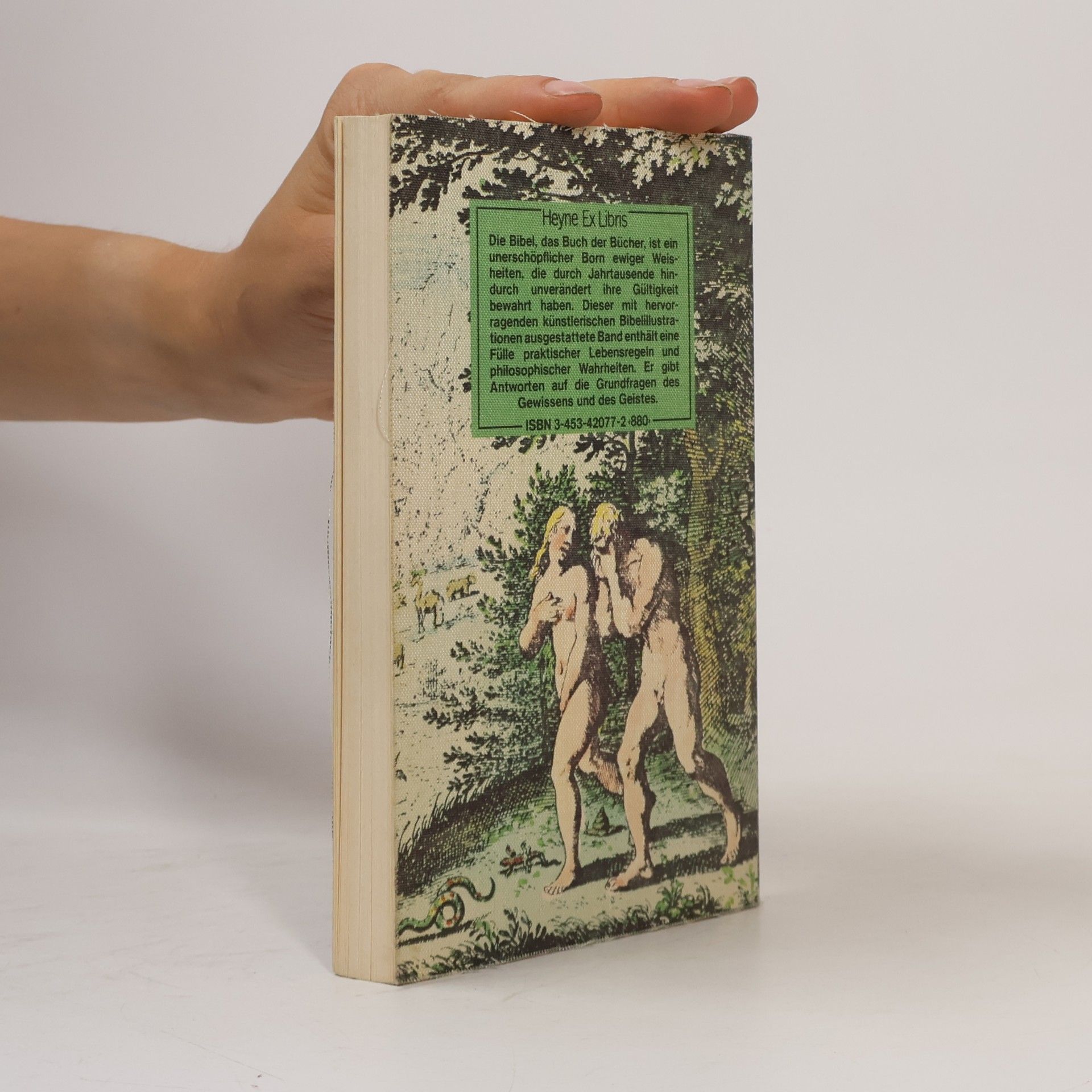 Manfred Kluge Die Weisheit der Bibel