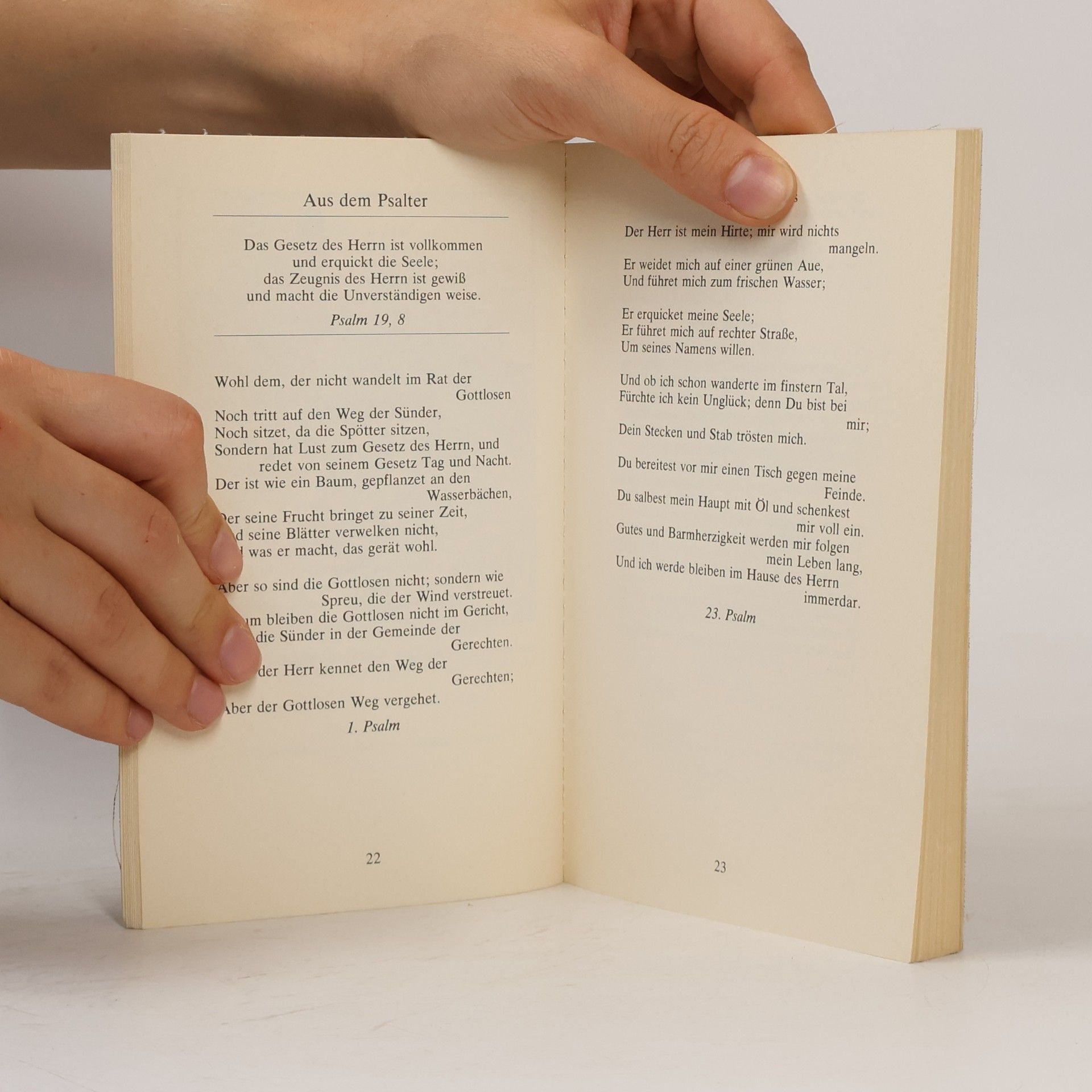 Manfred Kluge Die Weisheit der Bibel