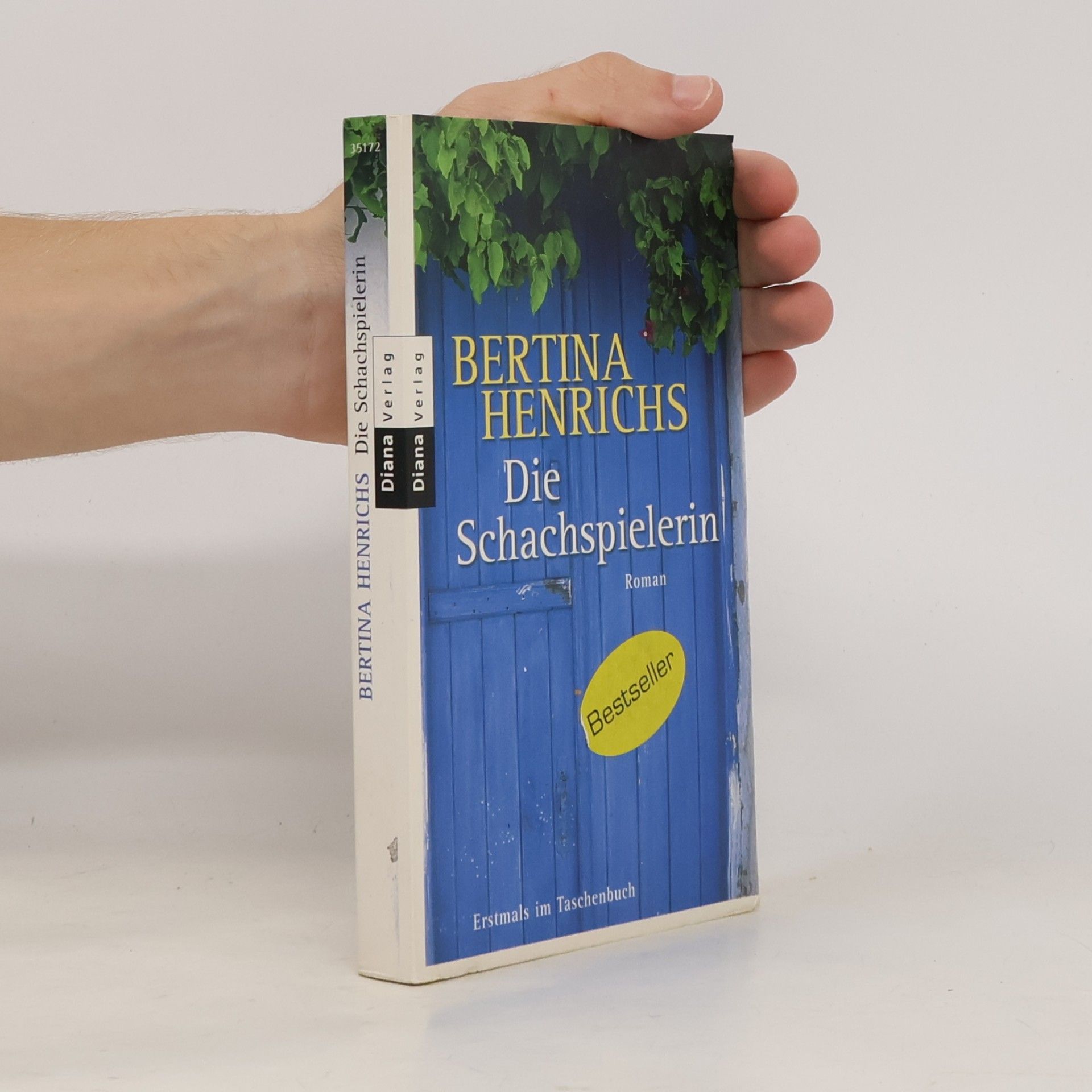 Bertina Henrichs Die Schachspielerin