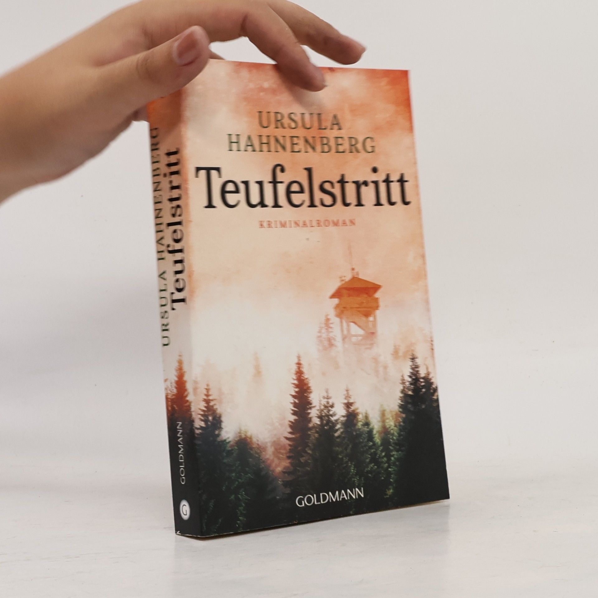 Ursula Hahnenberg Teufelstritt