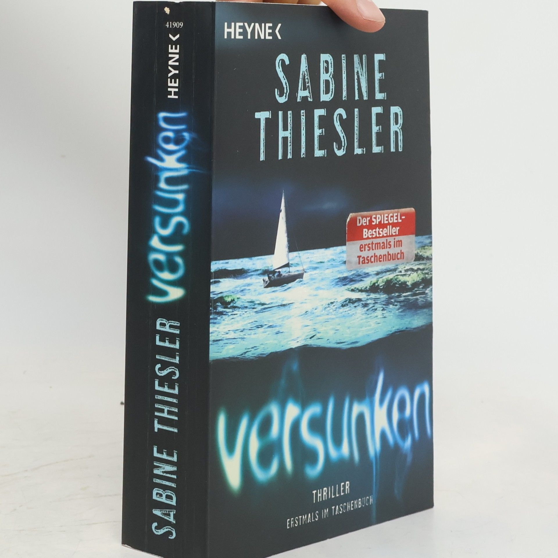 Sabine Thiesler Versunken