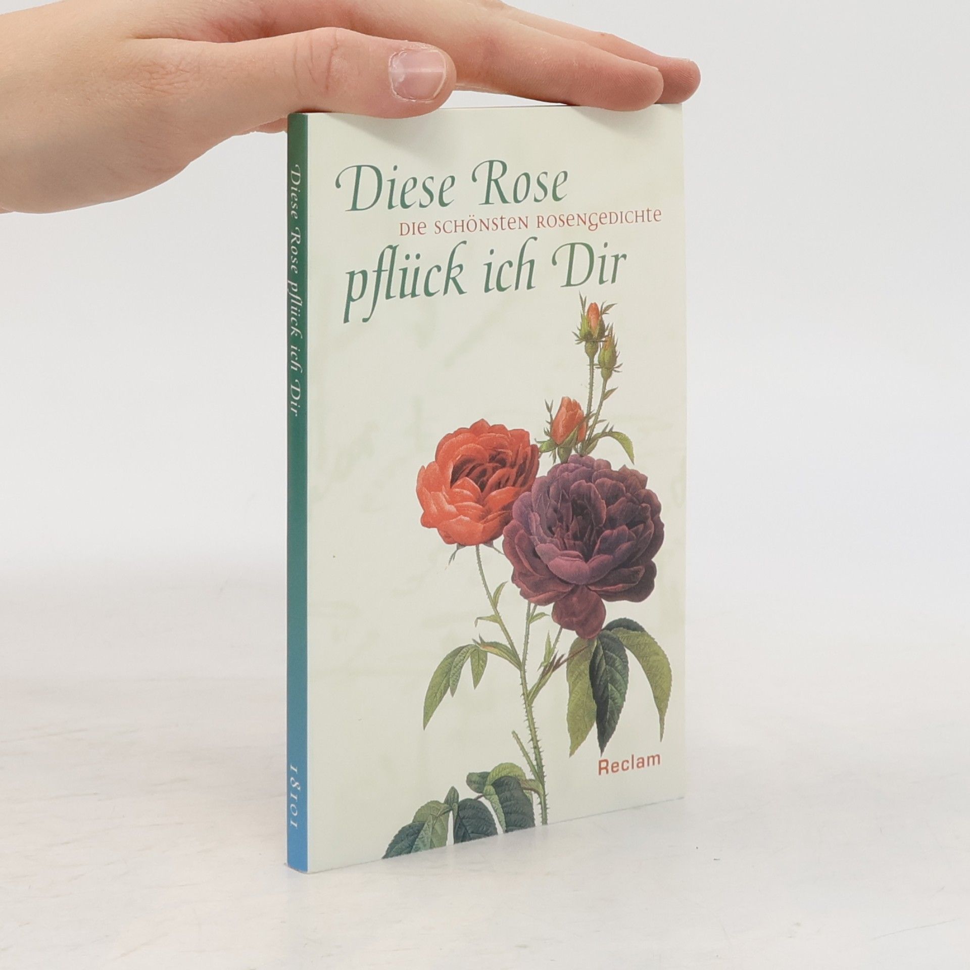 Heinke Wunderlich Diese Rose pflück ich Dir