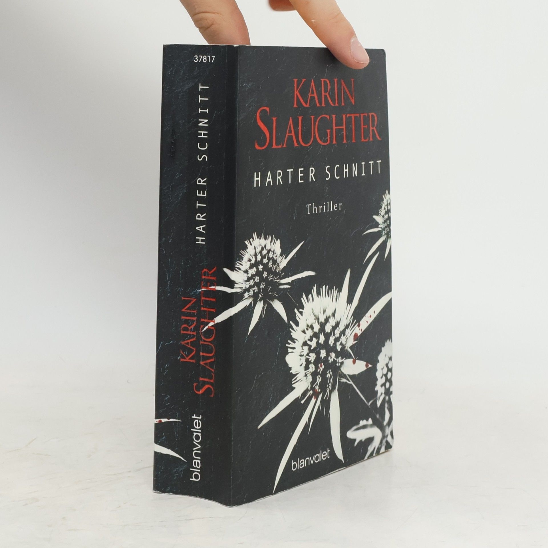 Karin Slaughter Harter Schnitt