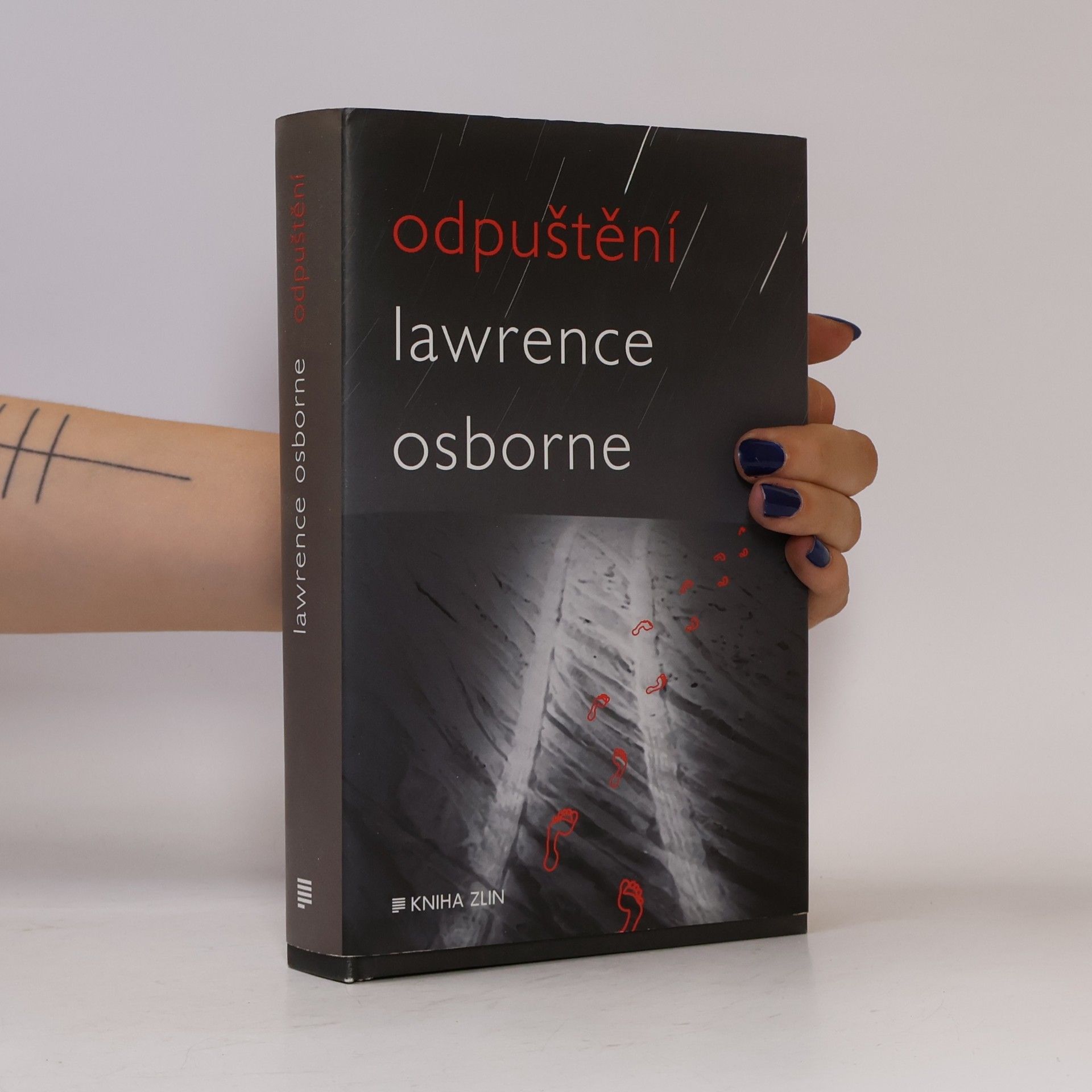 Lawrence Osborne Odpuštění