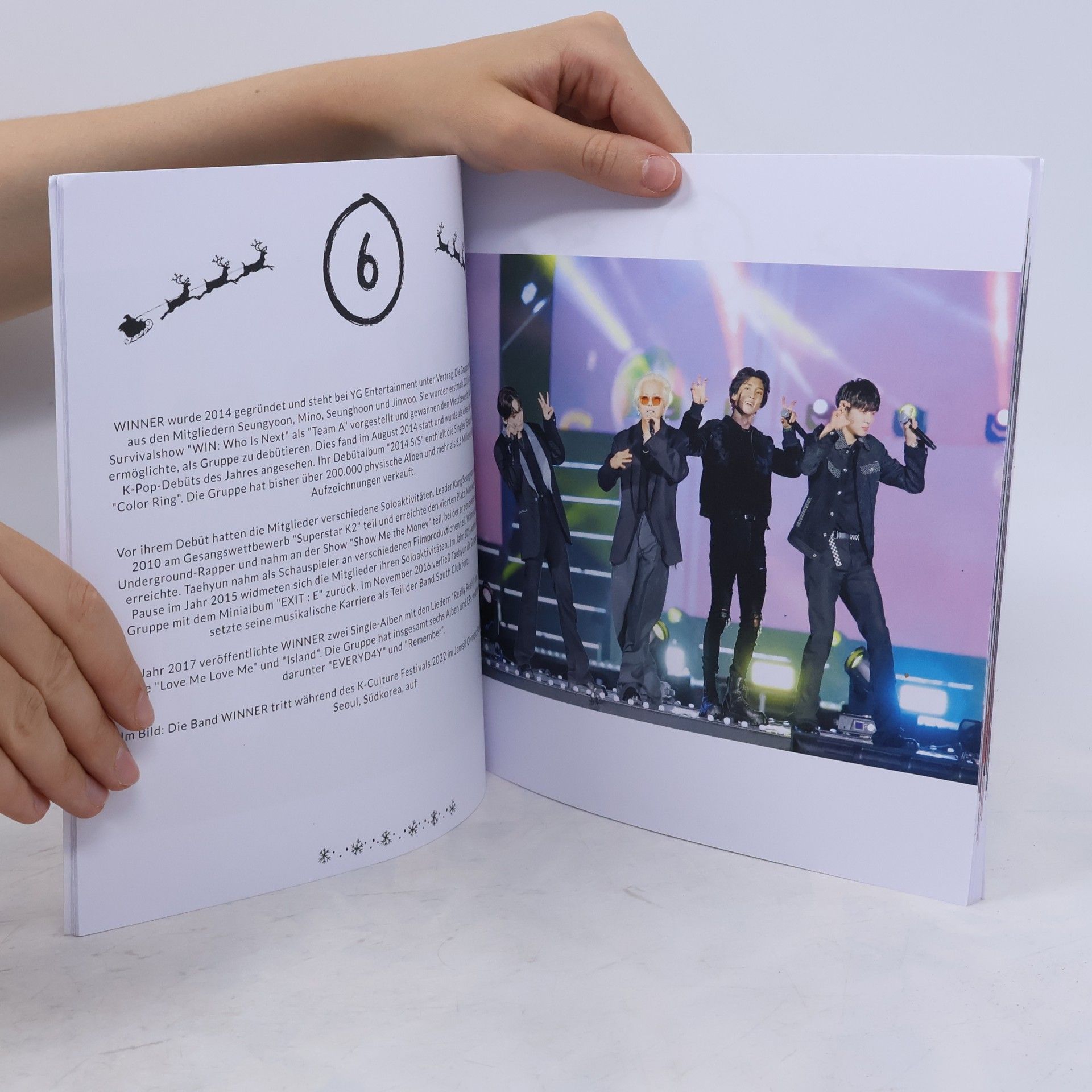 Lena Schwarz Der K-Pop-Adventskalender