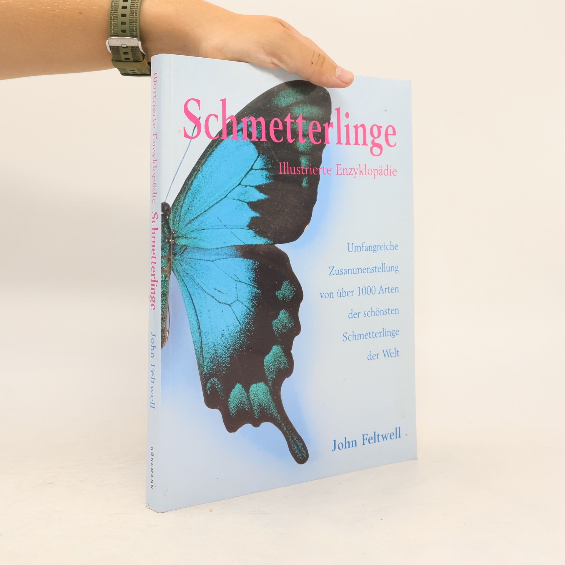 Schmetterlinge