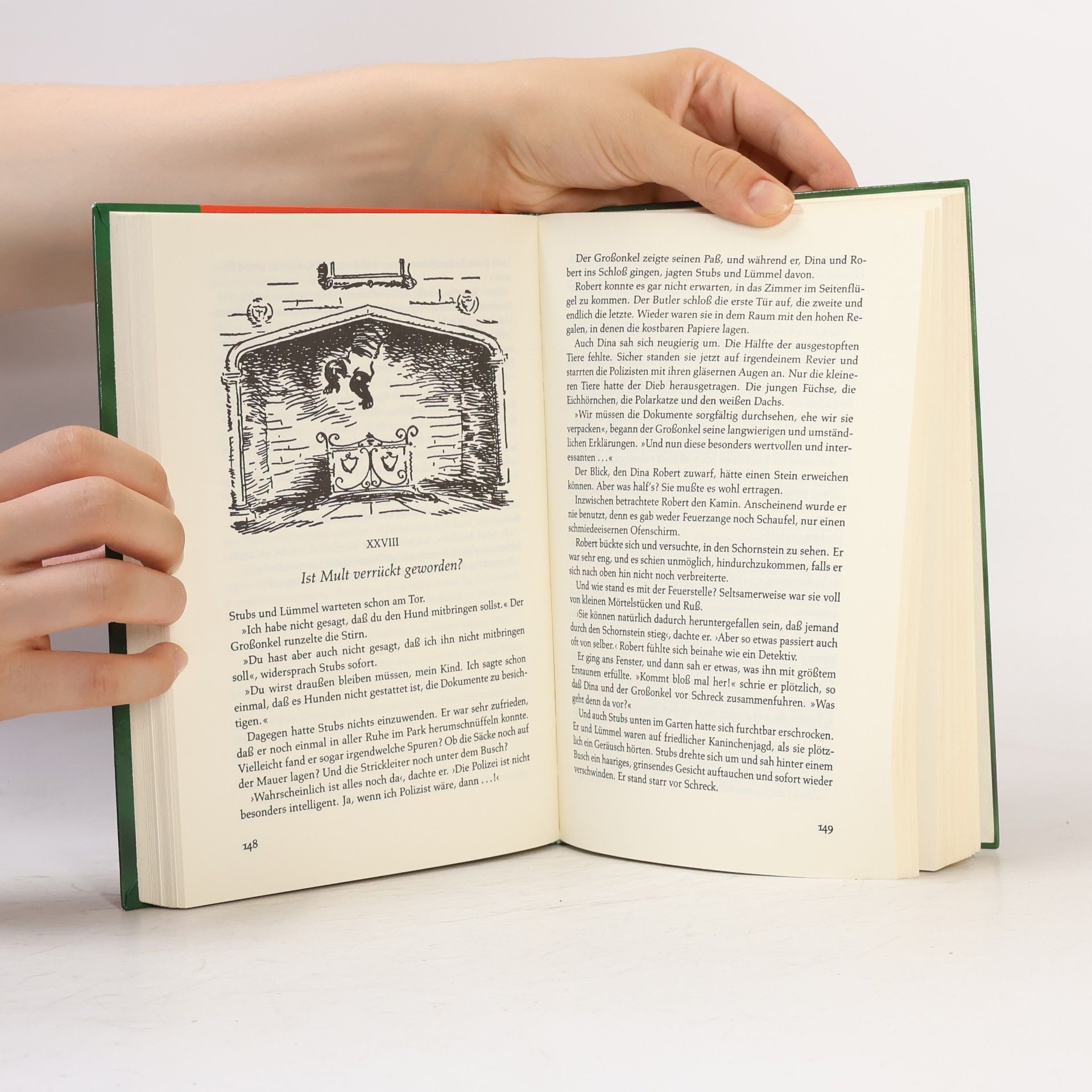 Enid Blyton Rätsel um die grüne Hand. Ein Doppelband.