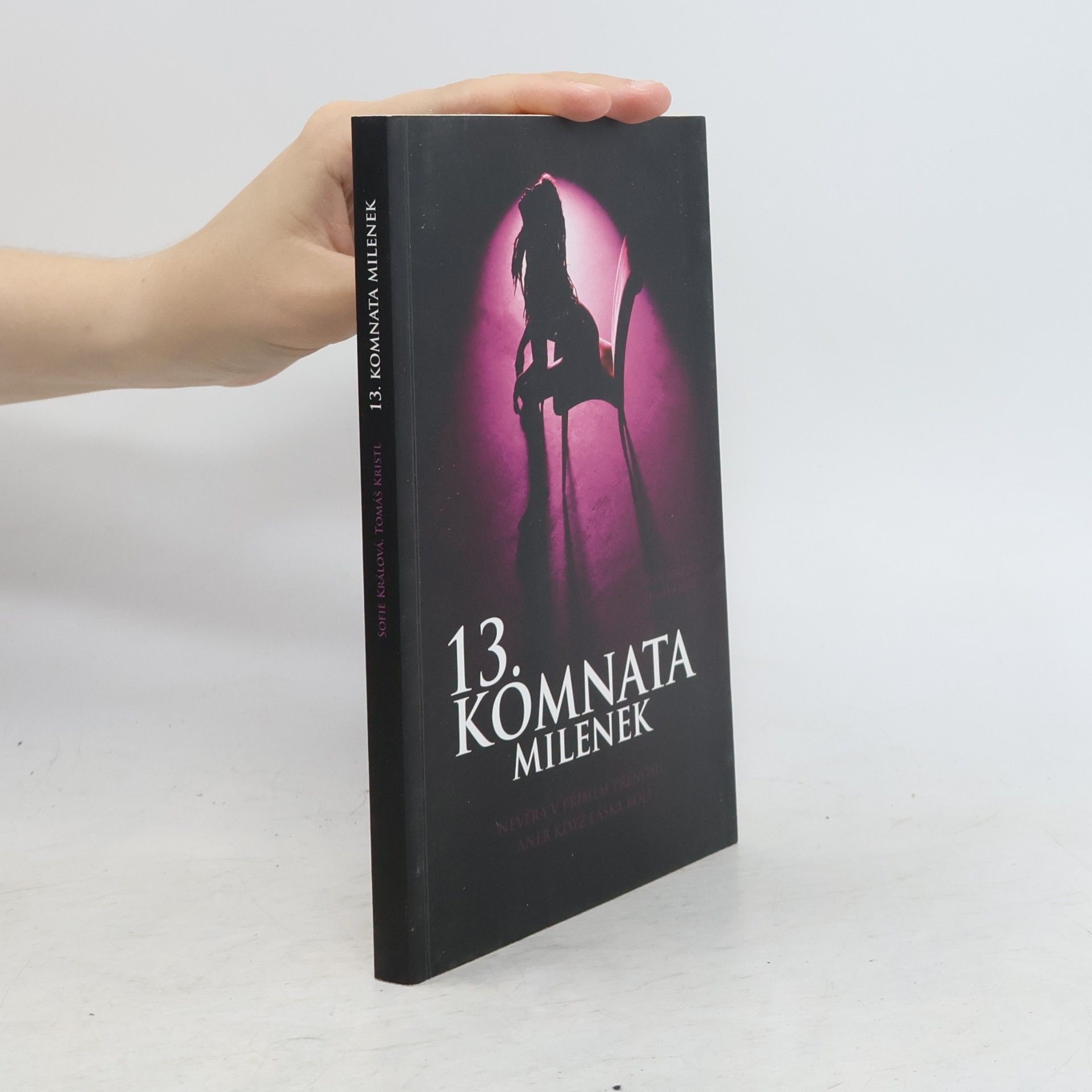 Tomáš Kristl 13. komnata milenek. Nevěra v přímém přenosu, aneb když láska bolí