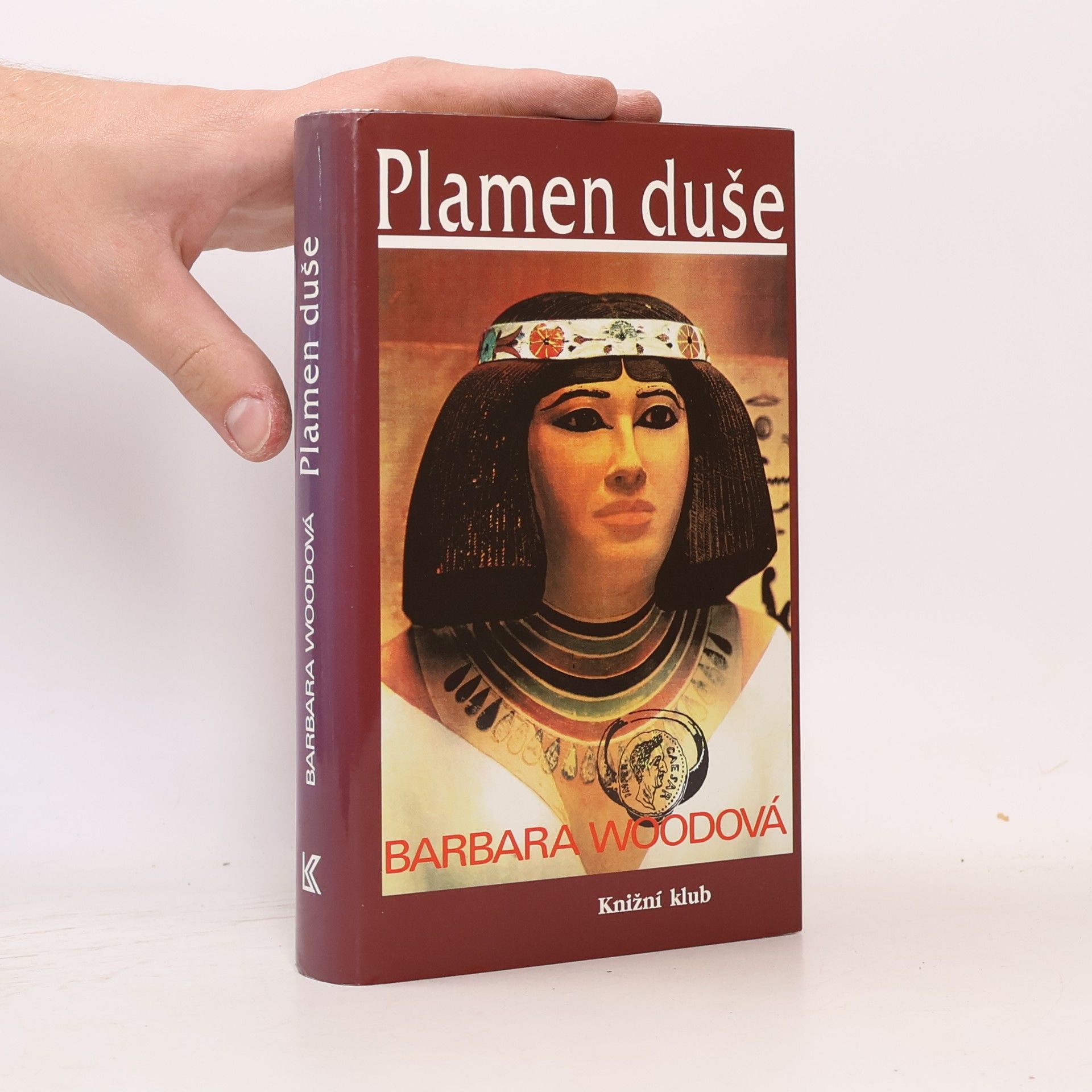 Barbara Wood Plamen duše