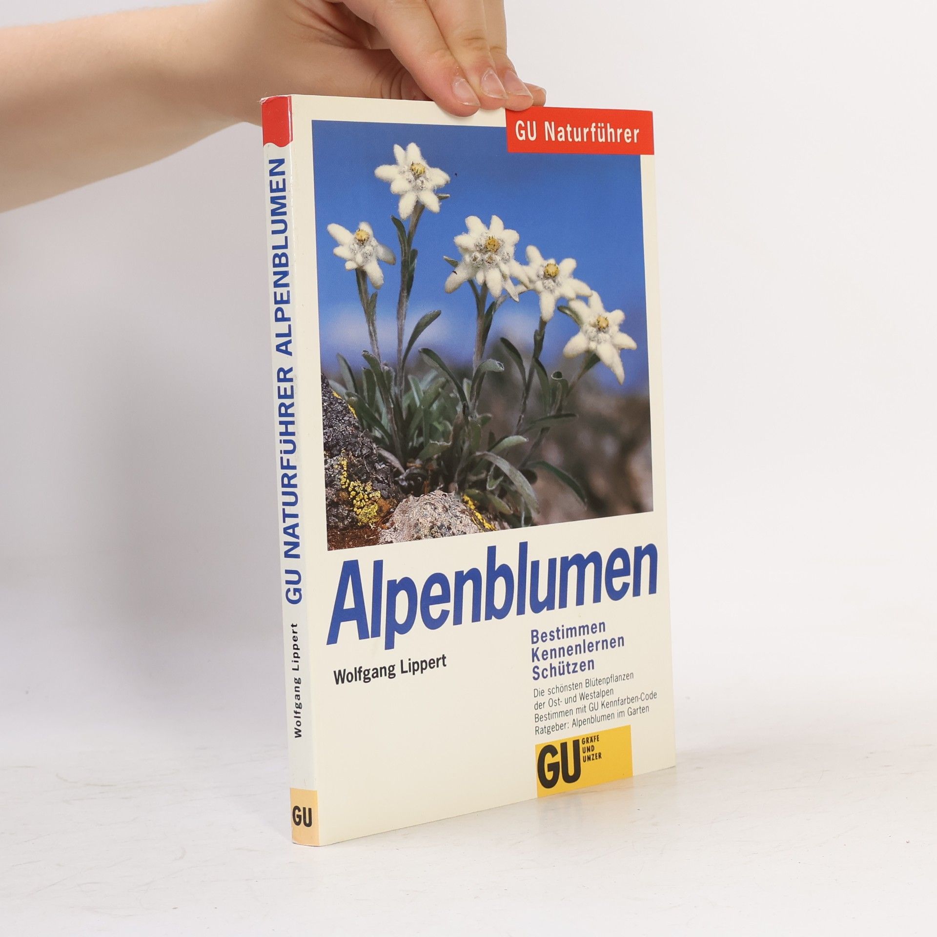 Wolfgang Lippert Alpenblumen