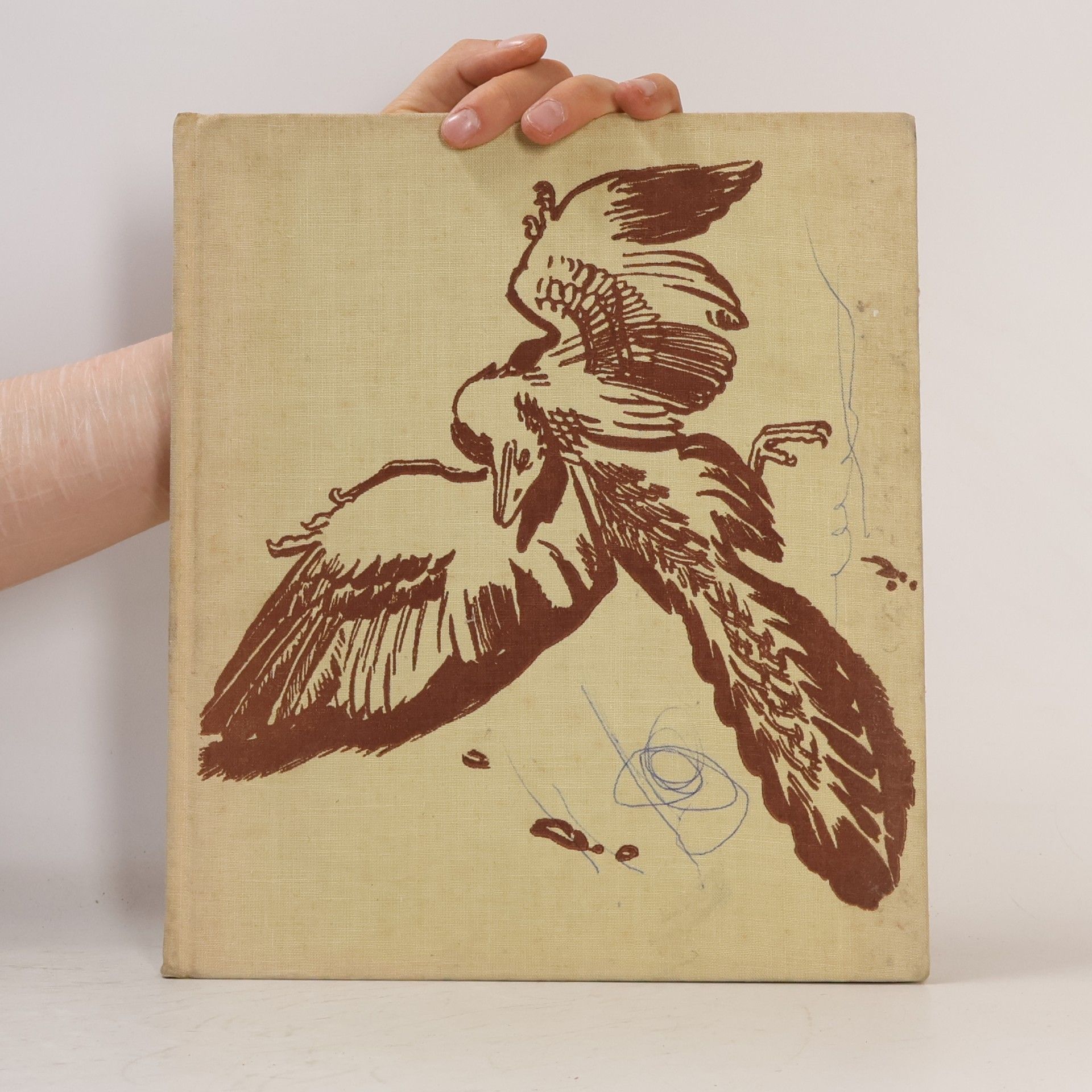 Josef Augusta Prehistoric Reptiles and Birds