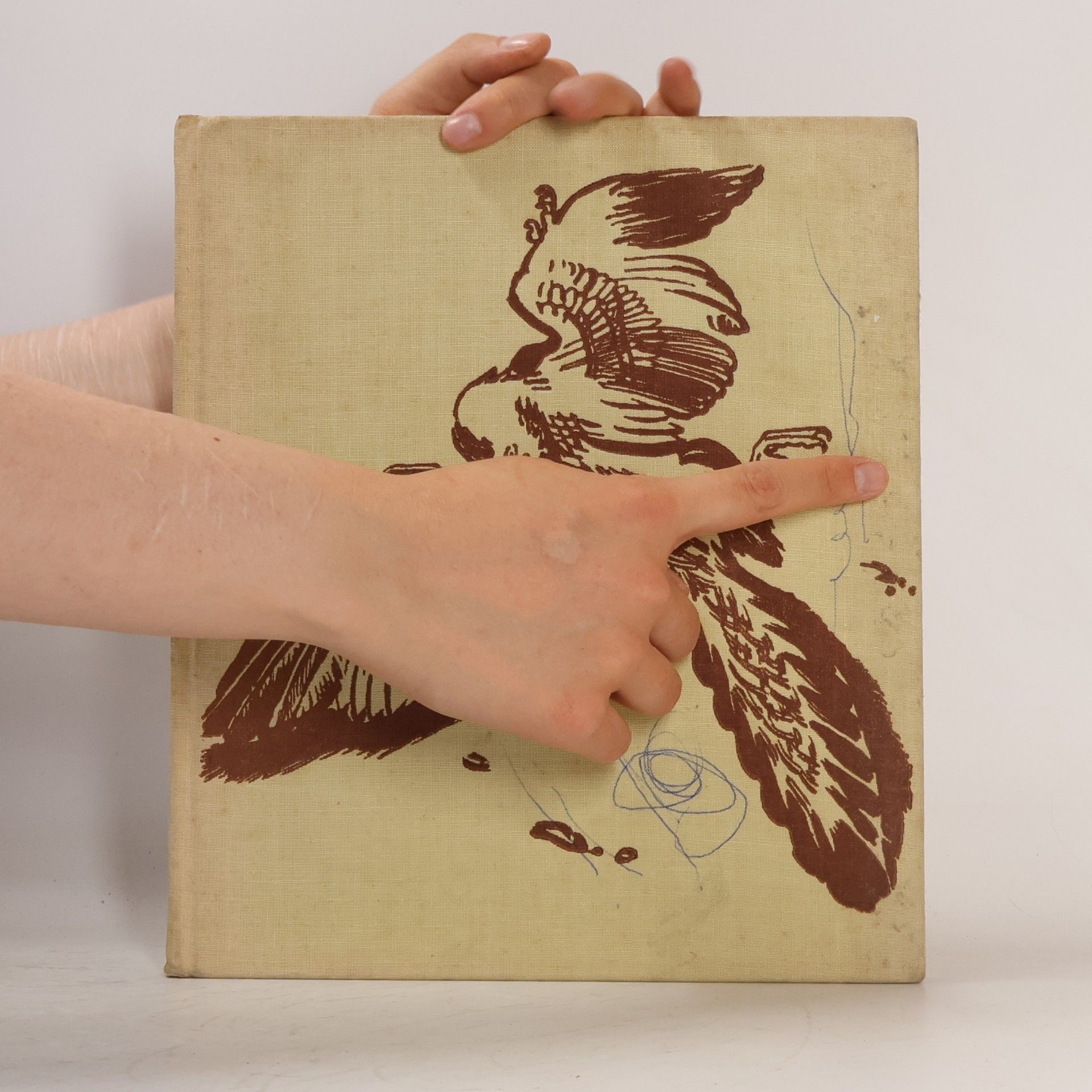 Josef Augusta Prehistoric Reptiles and Birds