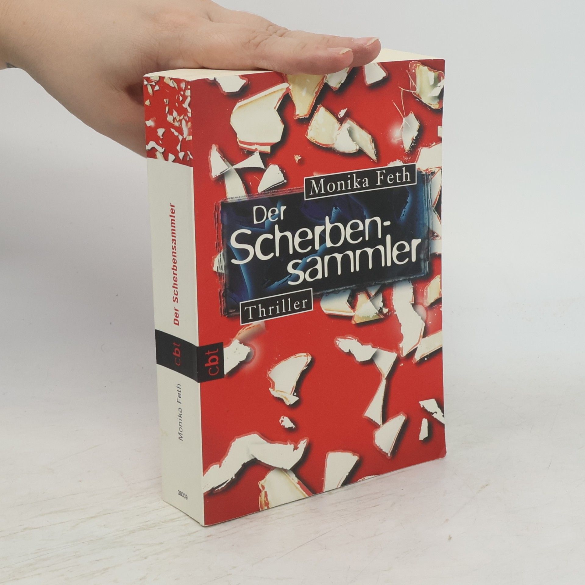 Der Scherbensammler