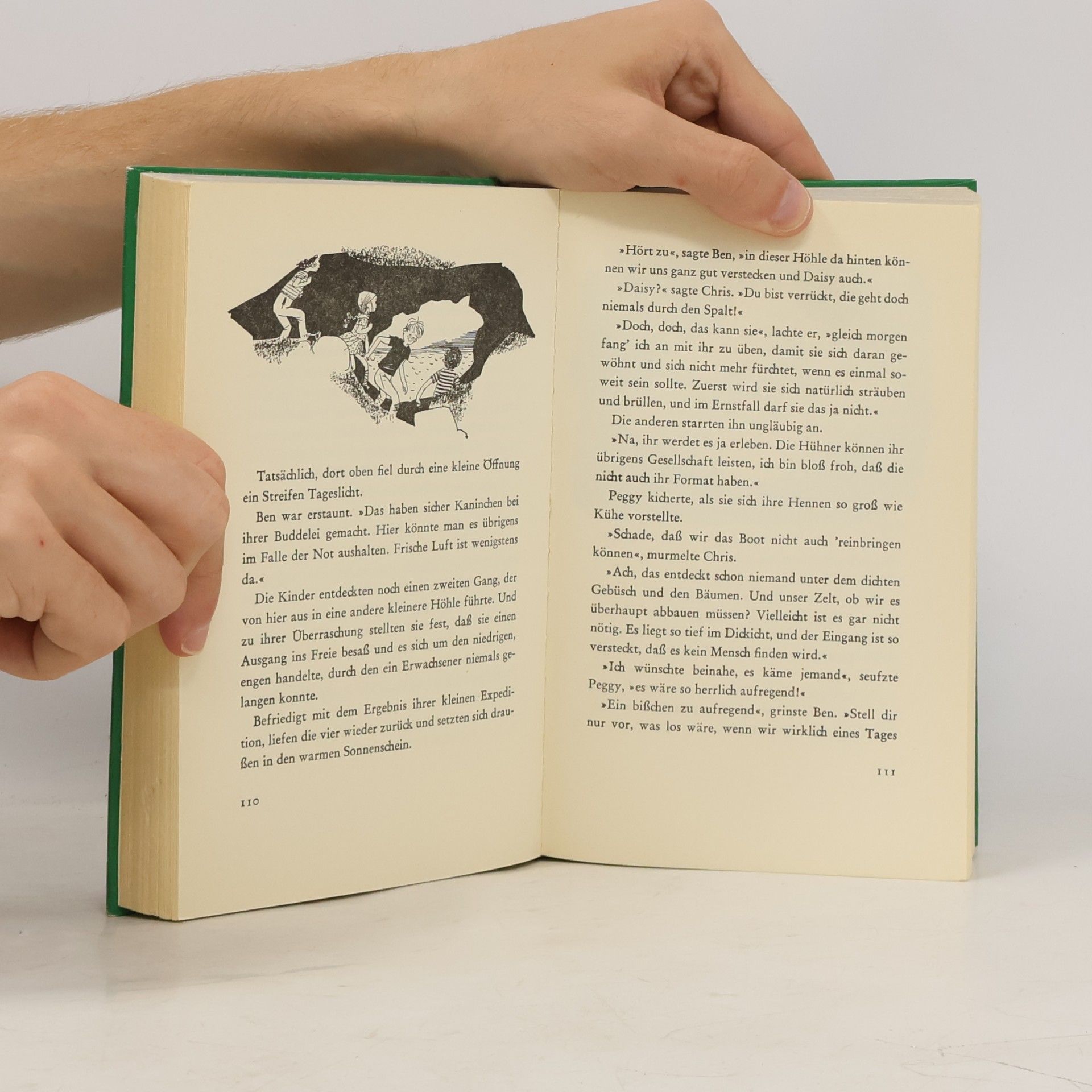 Enid Blyton Die Arnoldkinder reißen aus