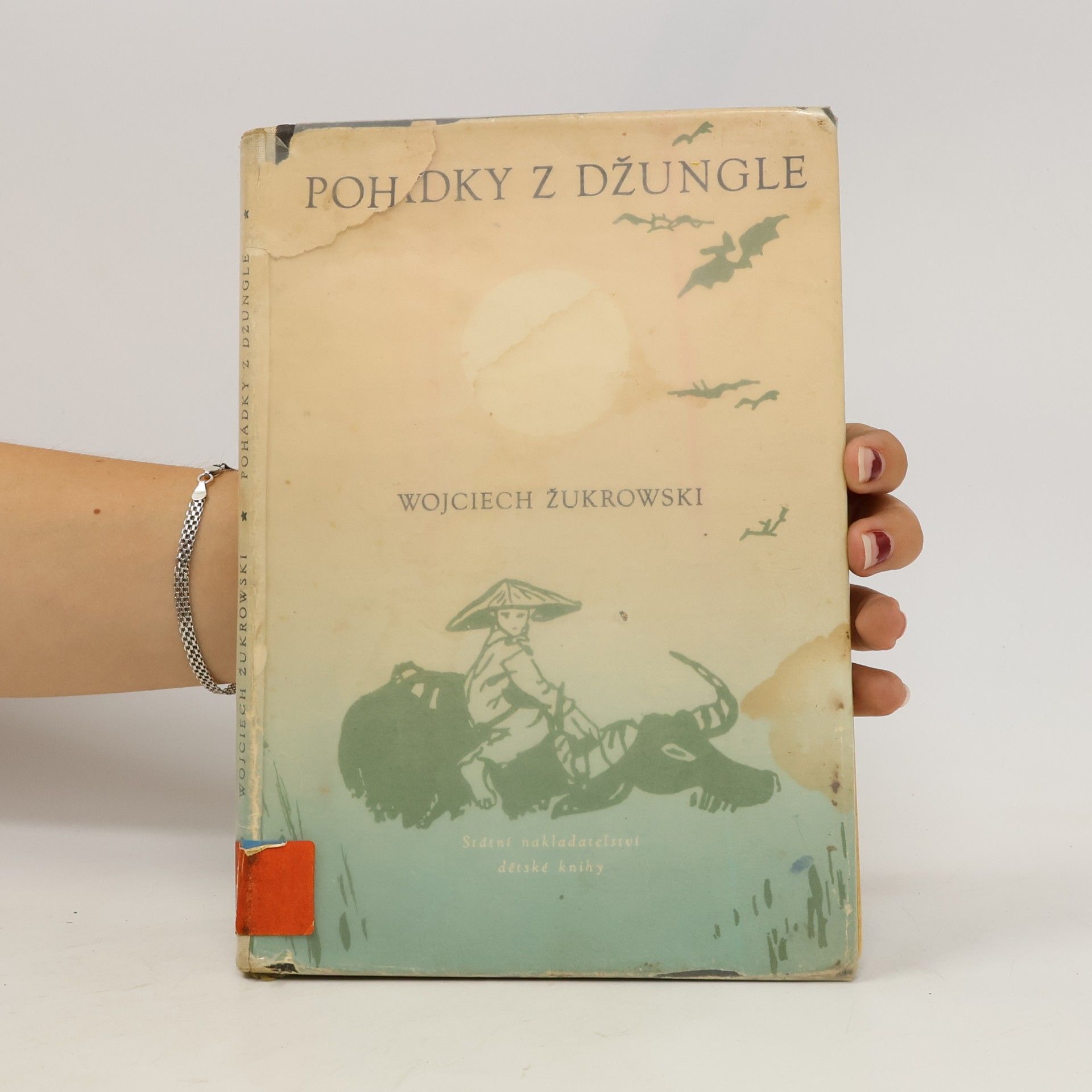 Žukrowski Wojciech Pohádky z džungle
