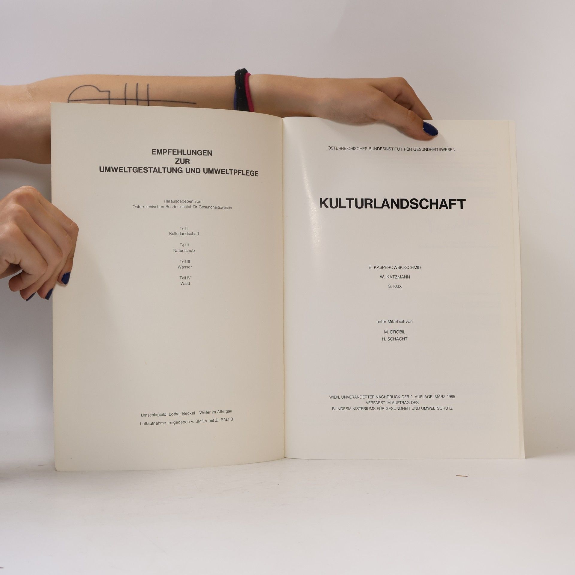 Autores varios Umweltgestaltung und Umweltpflege