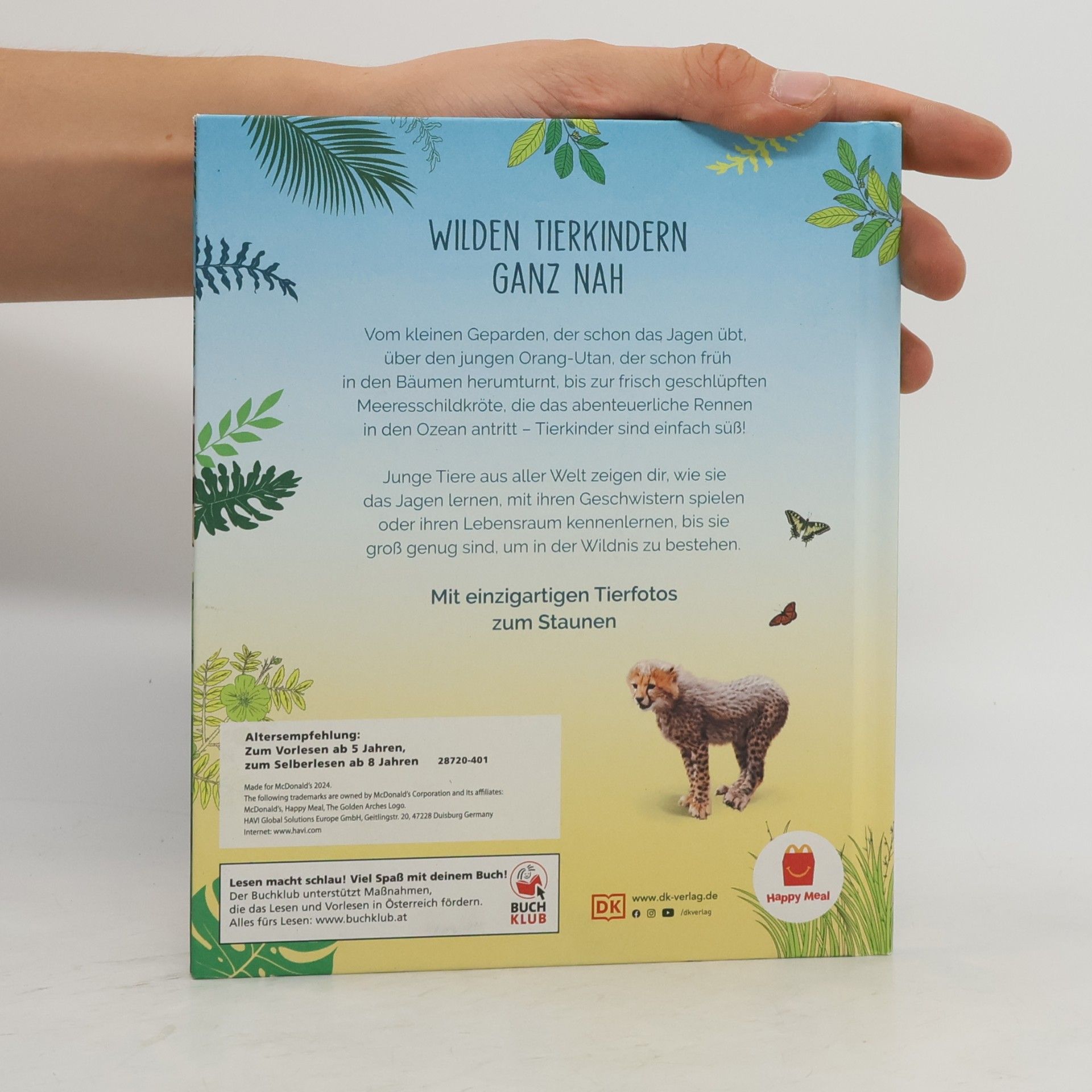 Autorenkollektiv Tierkinde der Wildnis