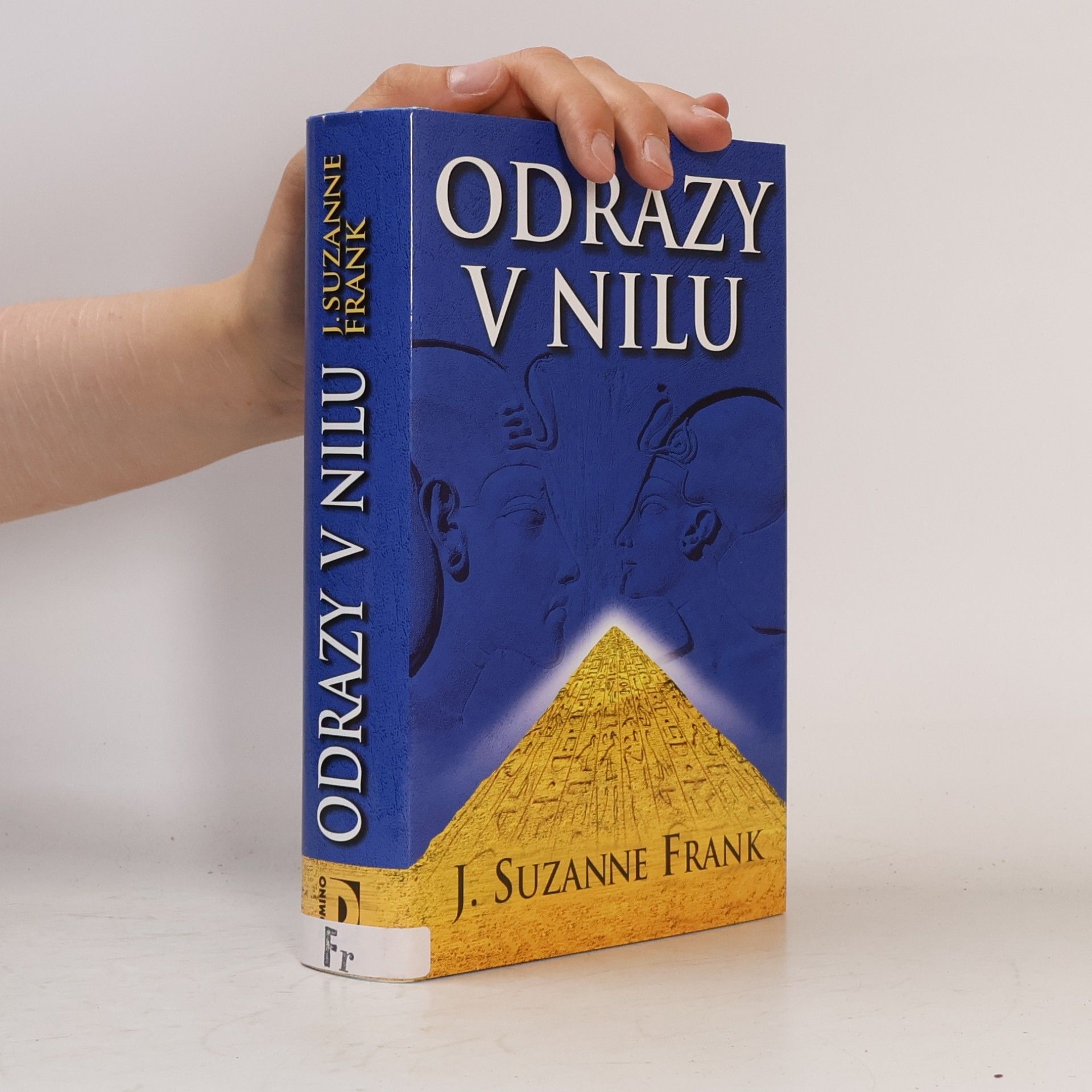 Suzanne Frank Odrazy v Nilu