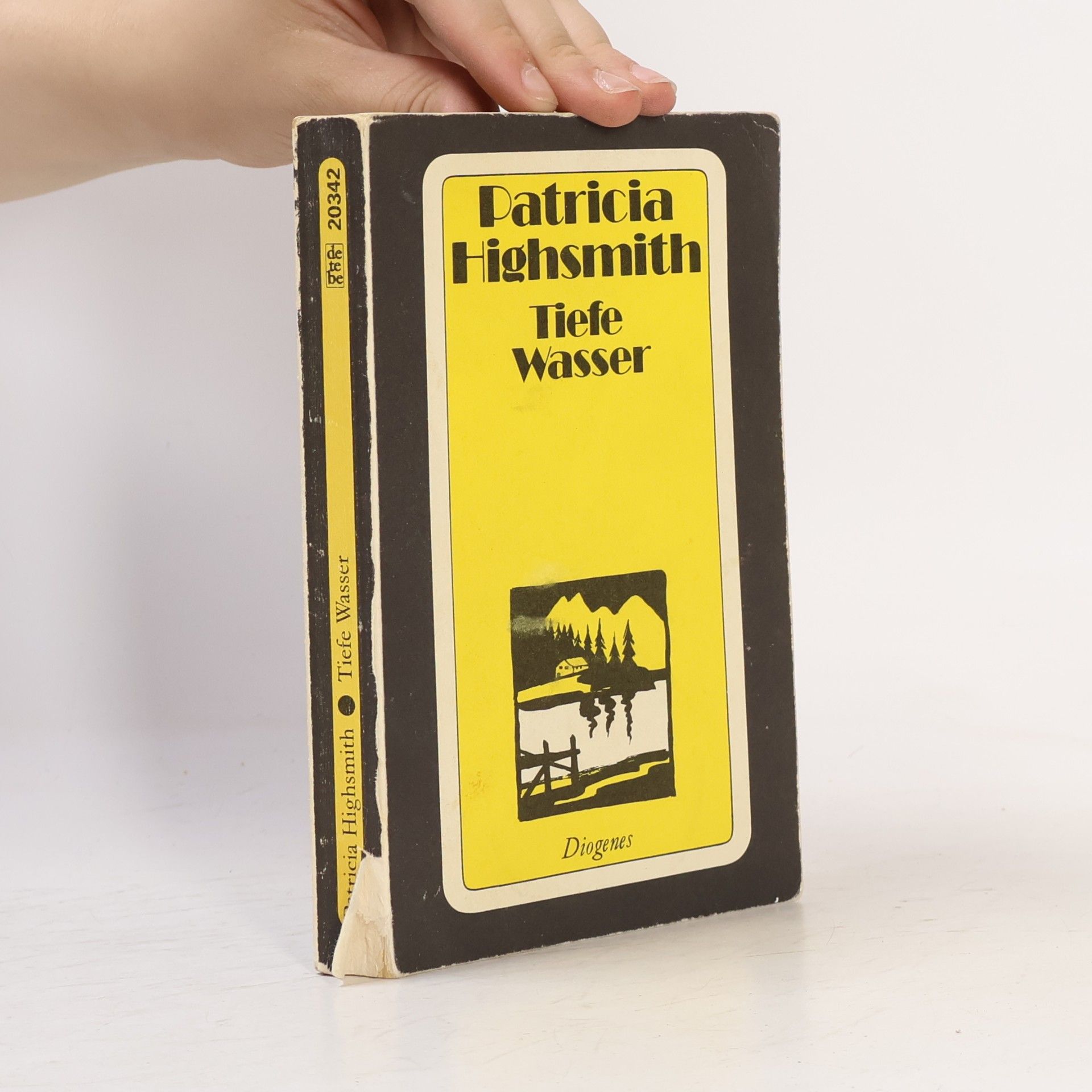 Patricia Highsmith Tiefe Wasser