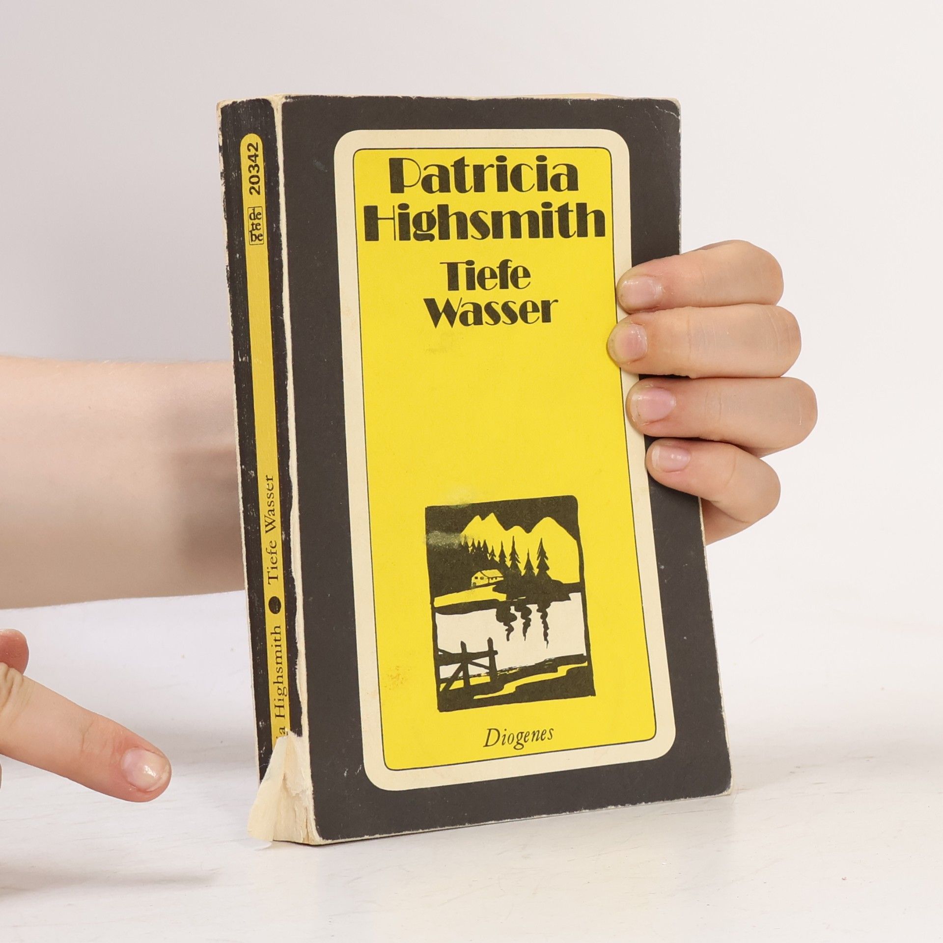 Patricia Highsmith Tiefe Wasser
