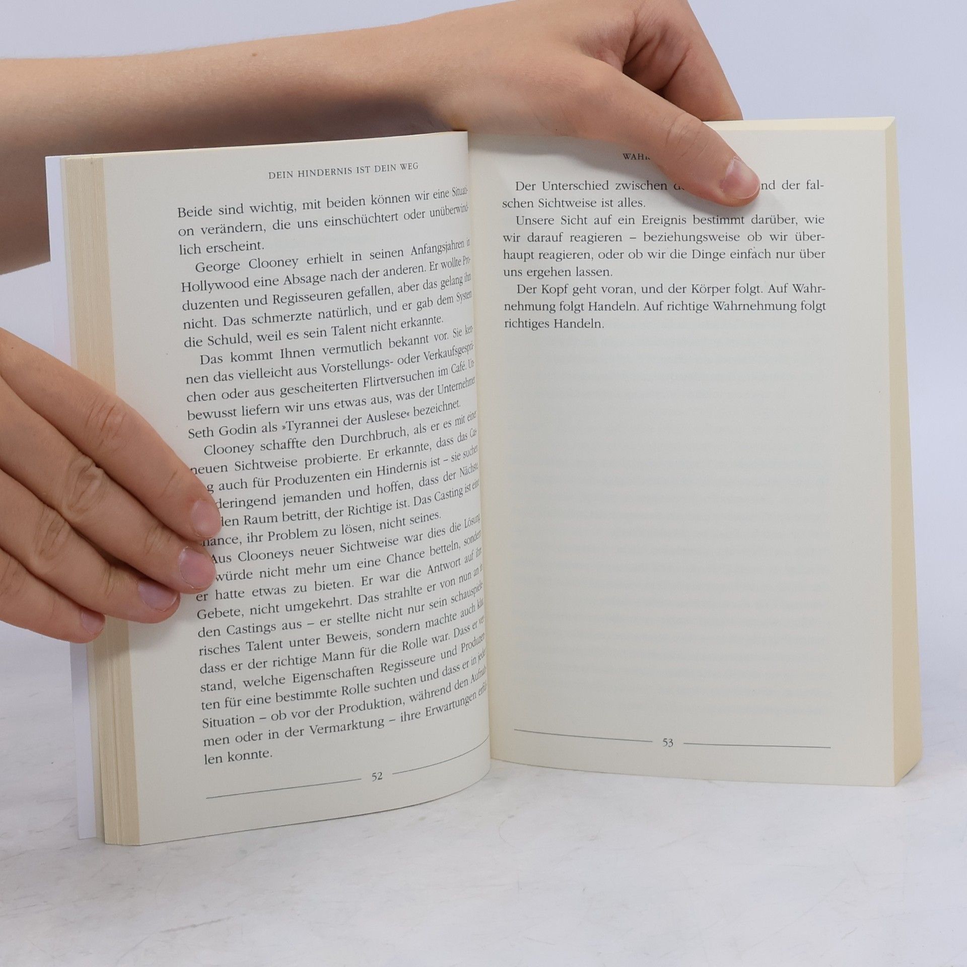 Ryan Holiday Dein Hindernis ist Dein Weg