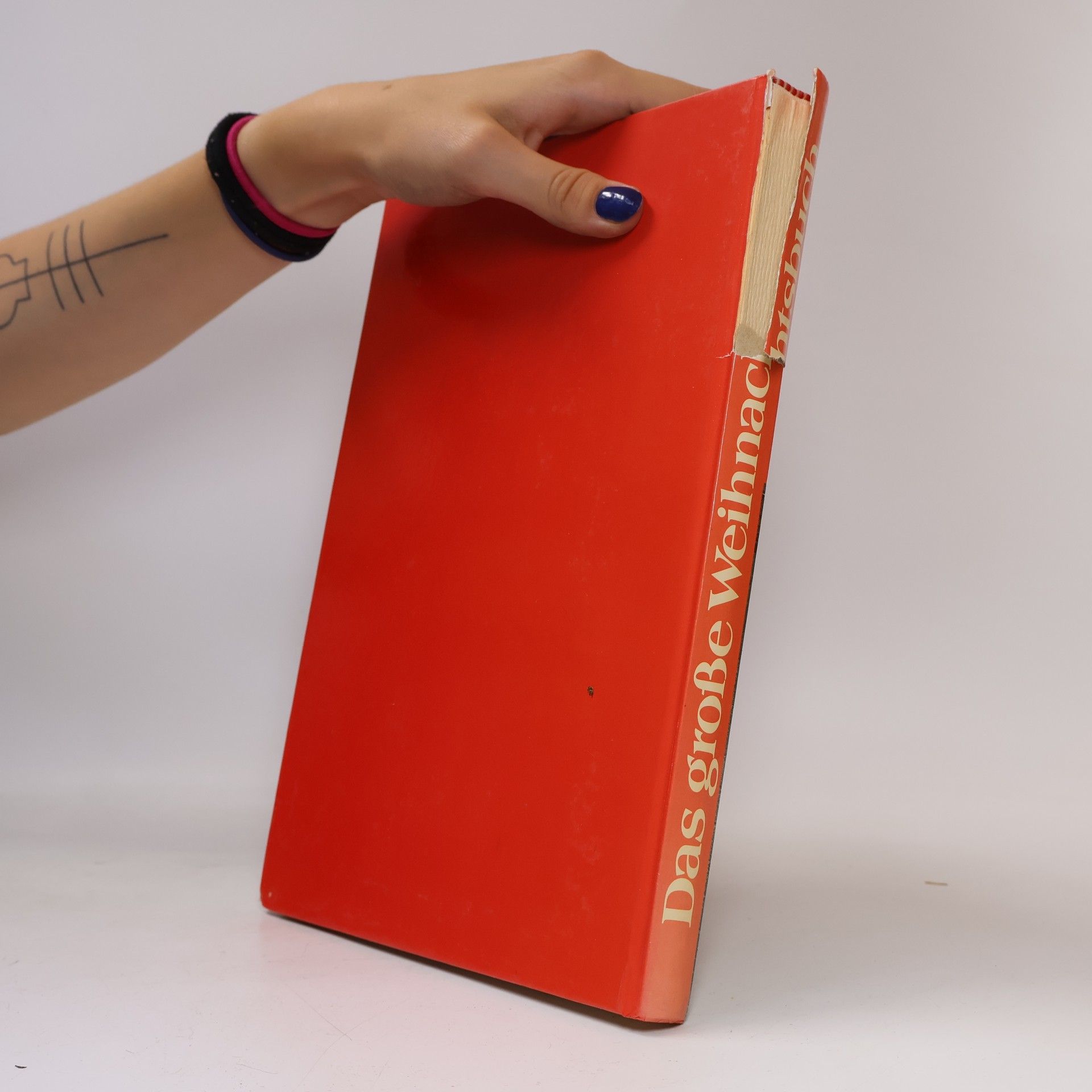 Various authors Das große Weihnachtsbuch