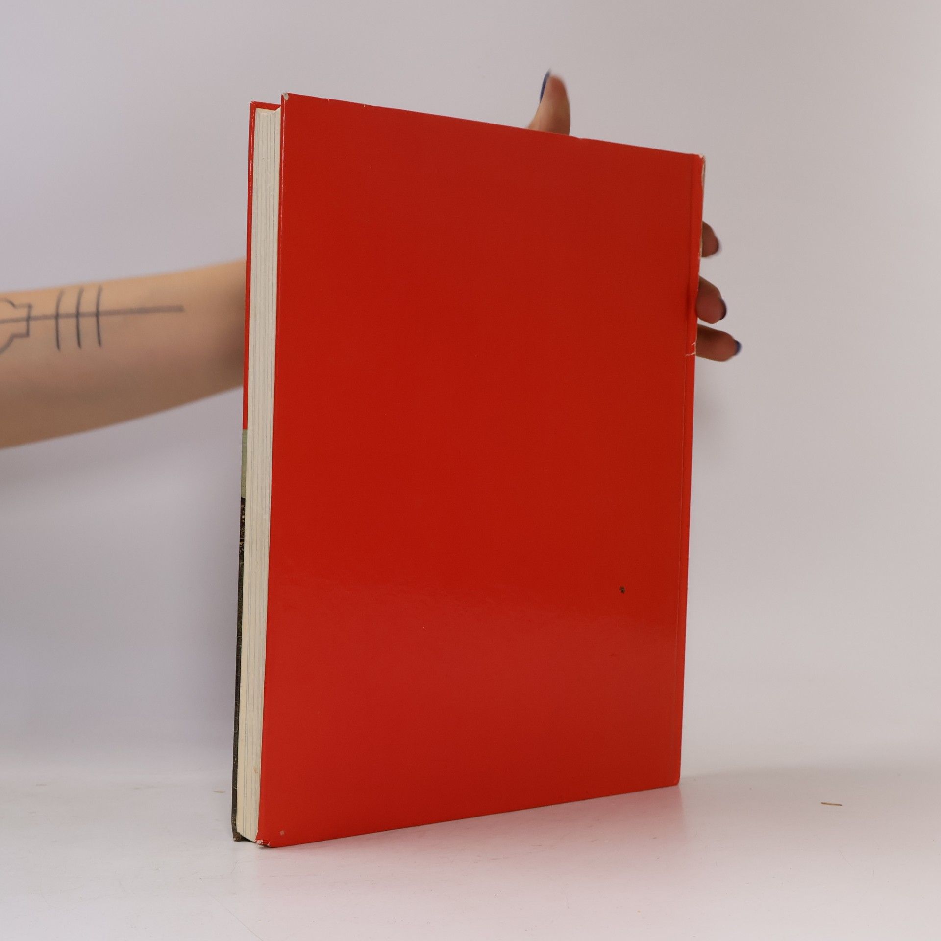 Various authors Das große Weihnachtsbuch