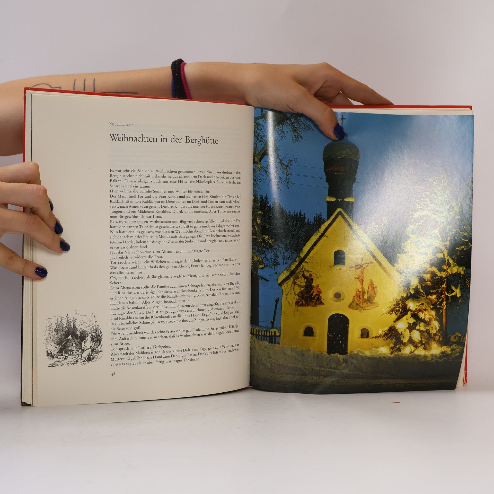 Various authors Das große Weihnachtsbuch