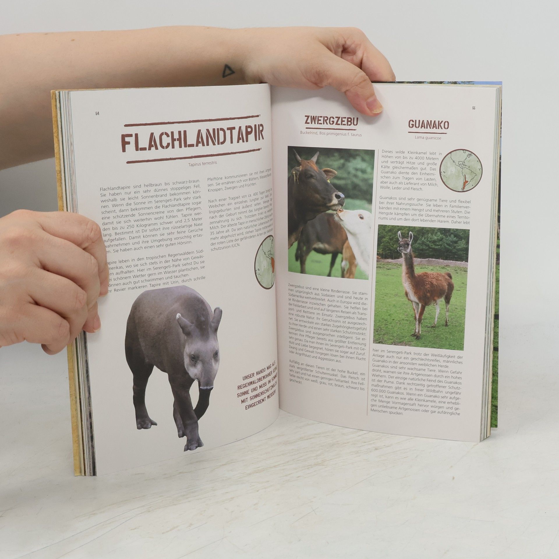 Autorenkollektiv Abenteuer buch