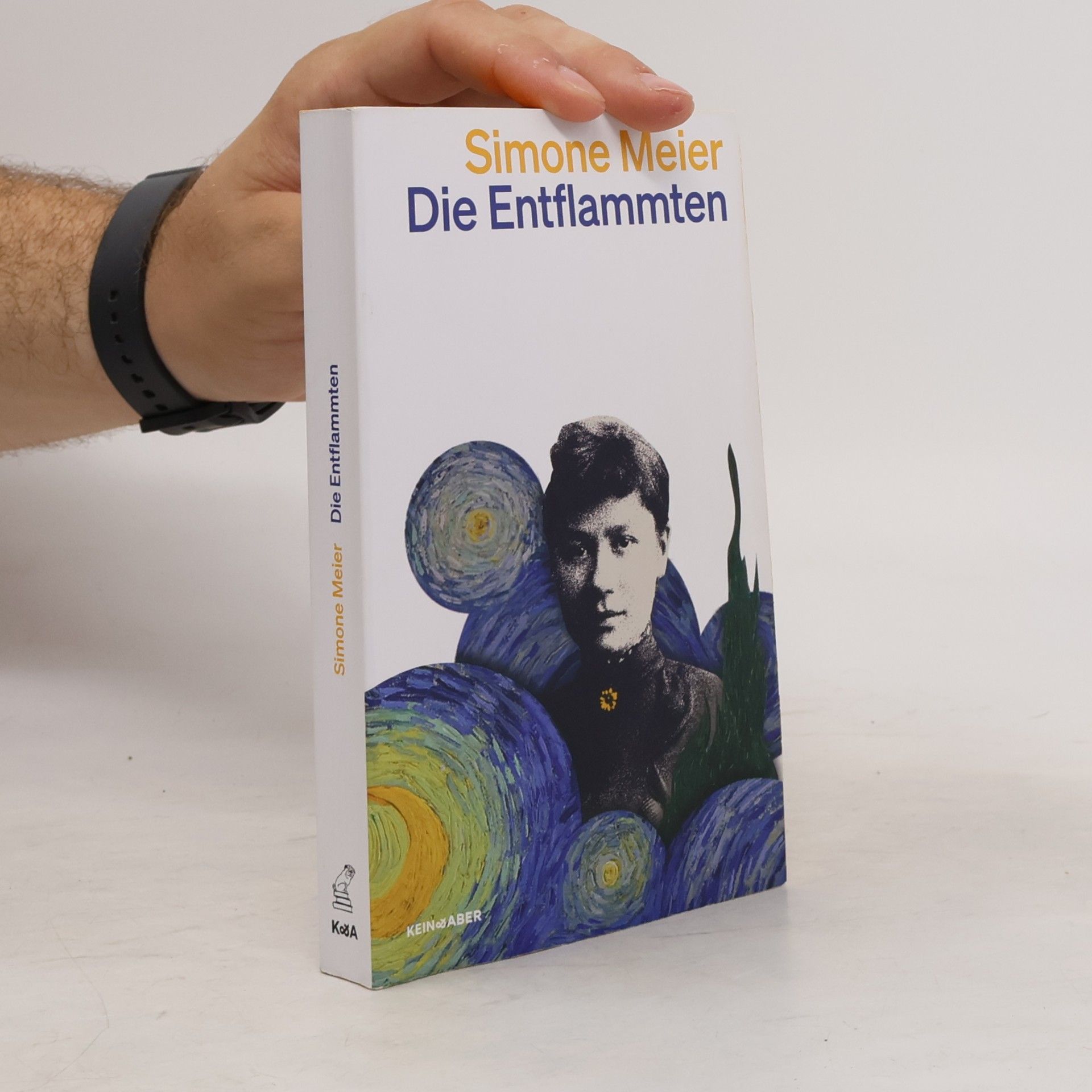 Simone Meier Die Entflammten