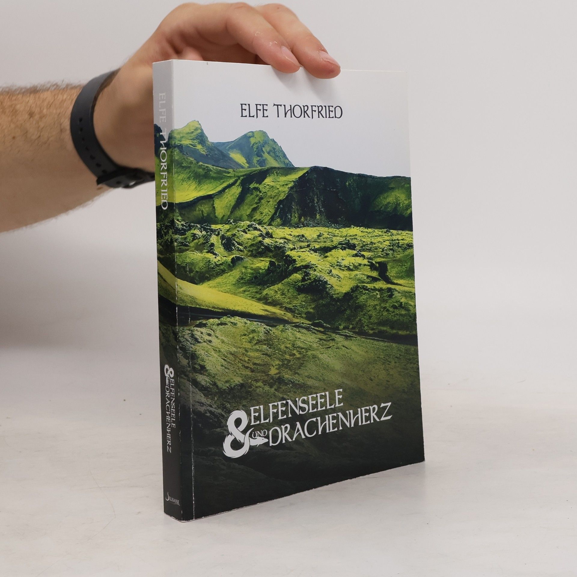 Elfenseele und Drachenherz