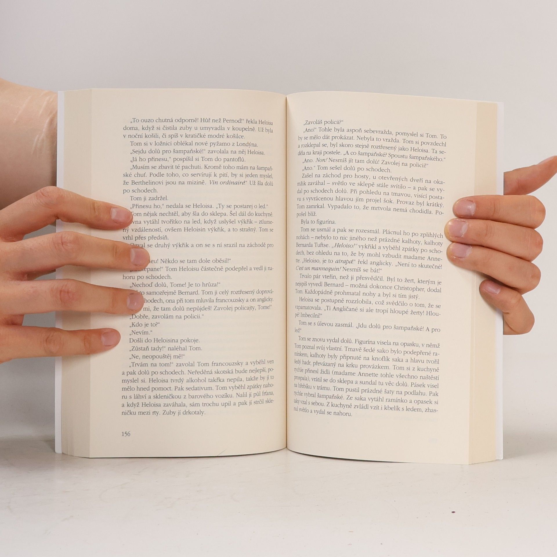 Patricia Highsmith Ripley pod zemí