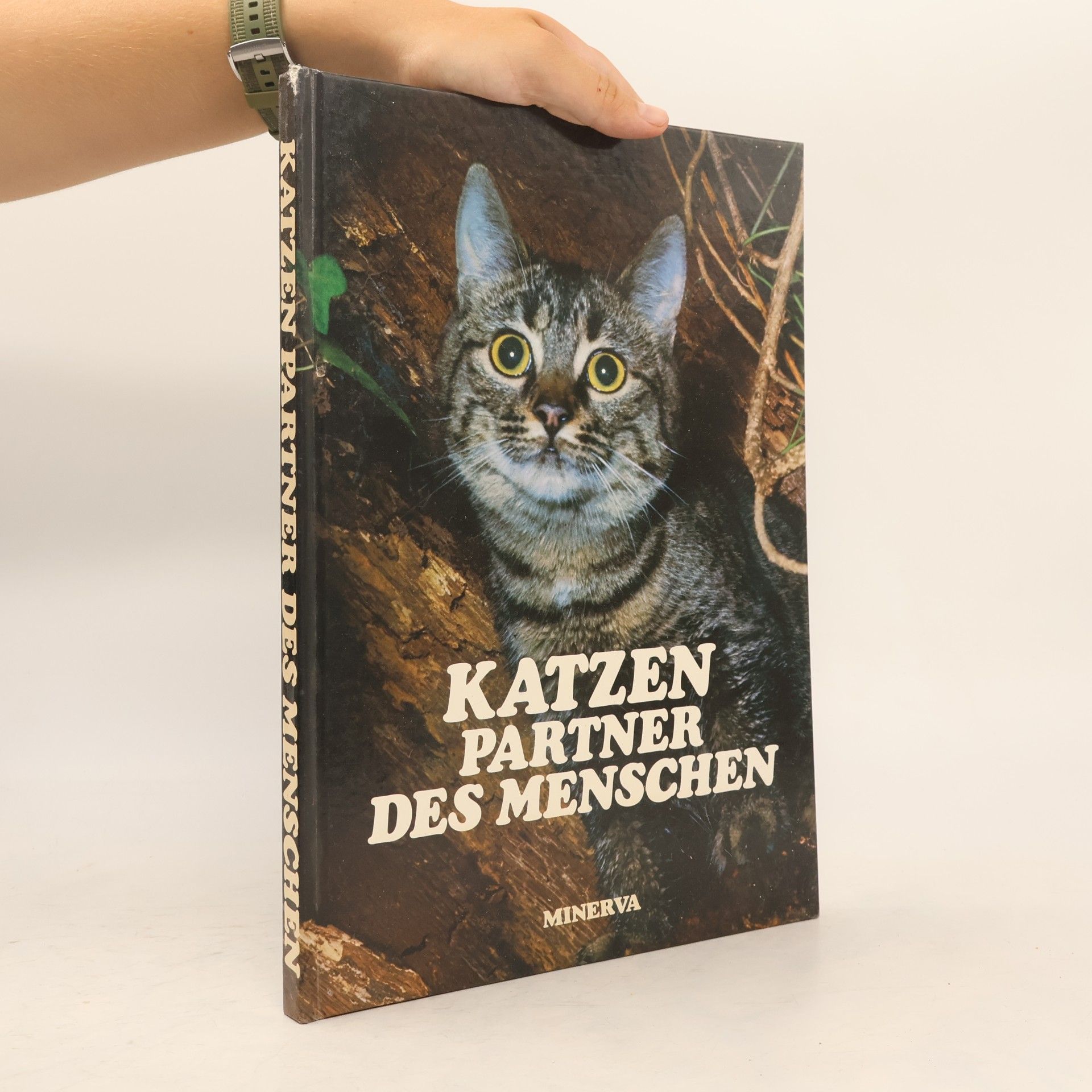Karsten Diettrich Katzen. Partner des Menschen