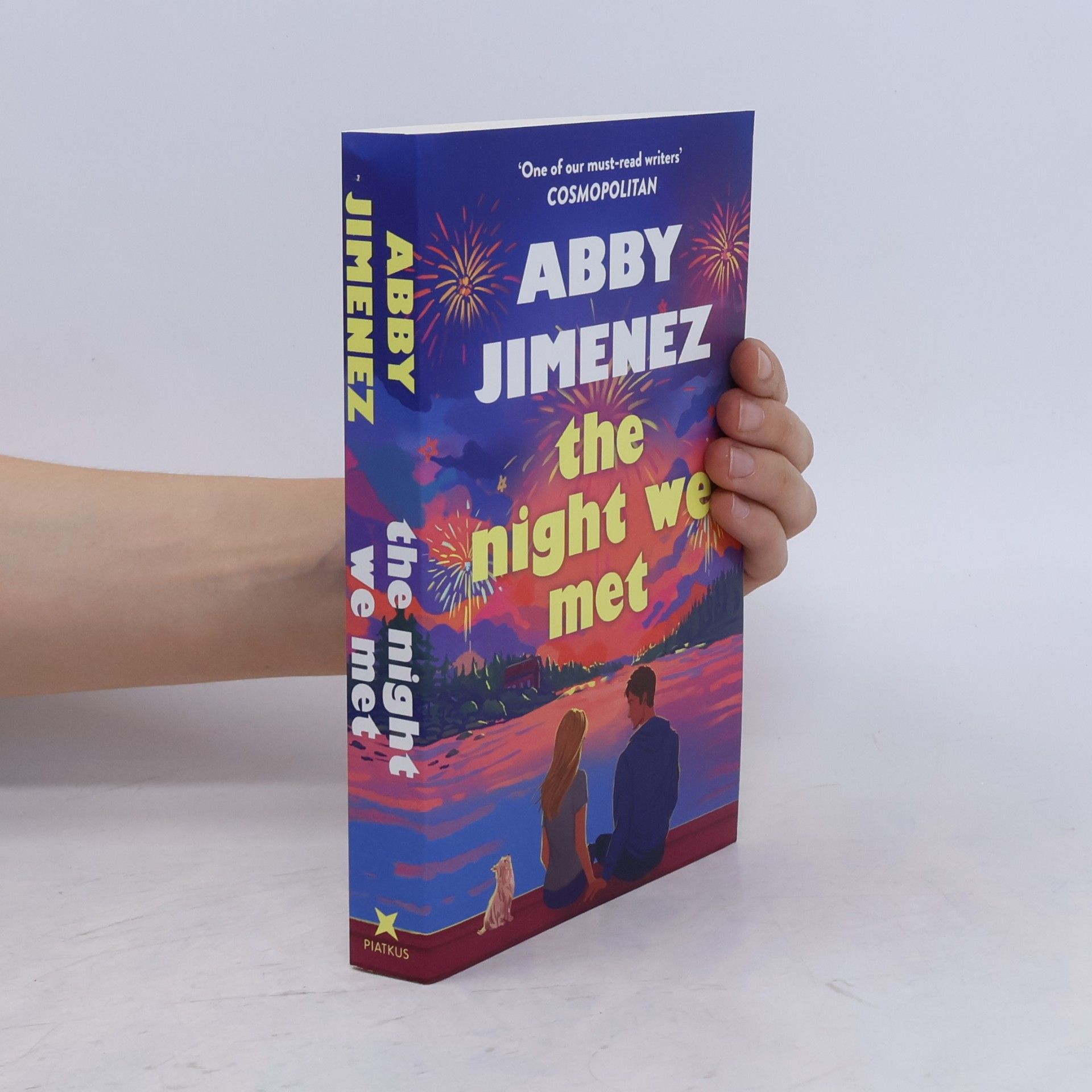 The Night We Met