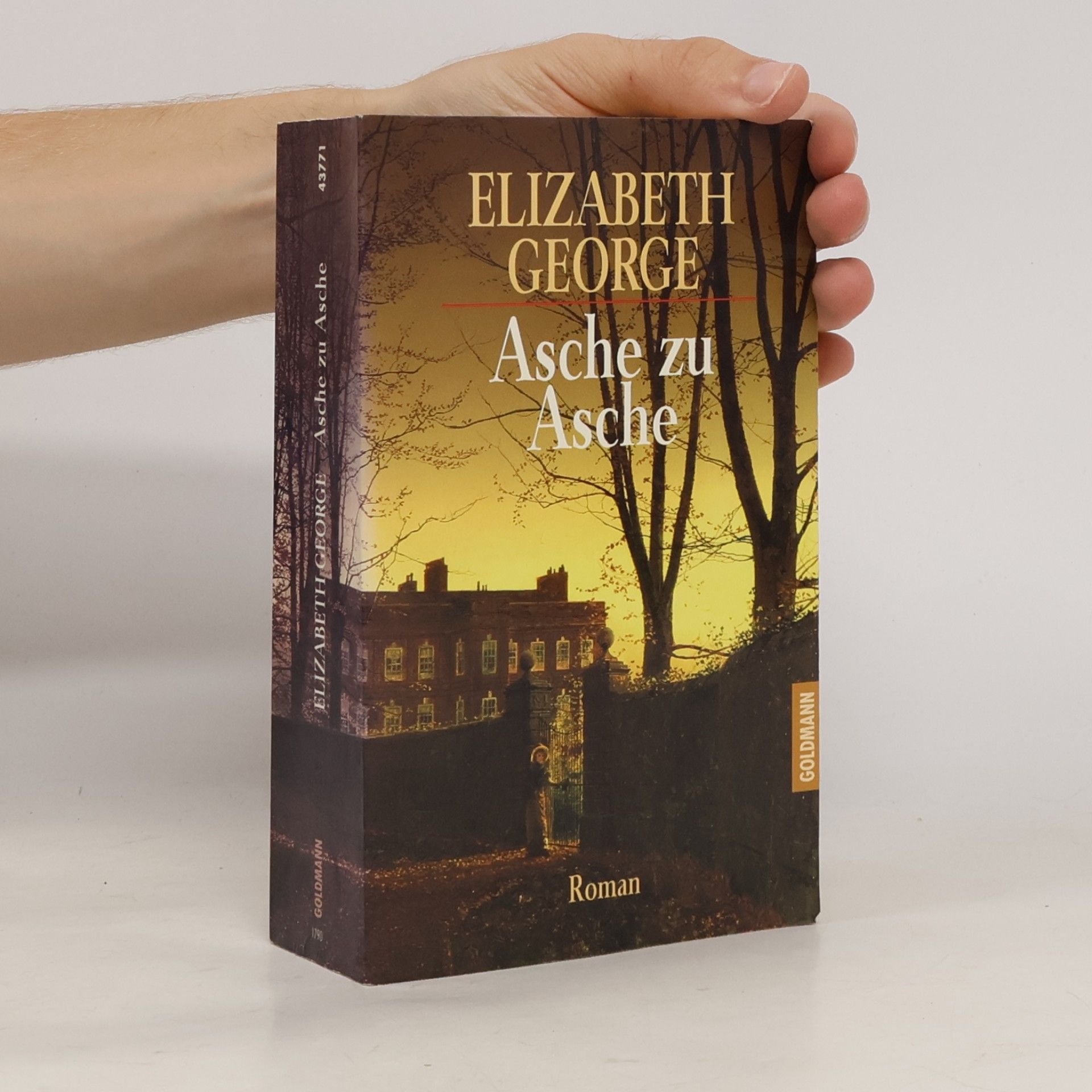 Asche zu Asche
