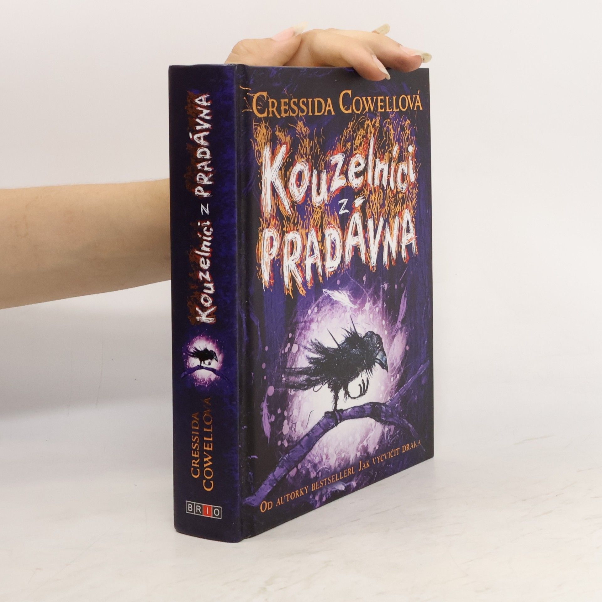 Cressida Cowell Kouzelníci z pradávna