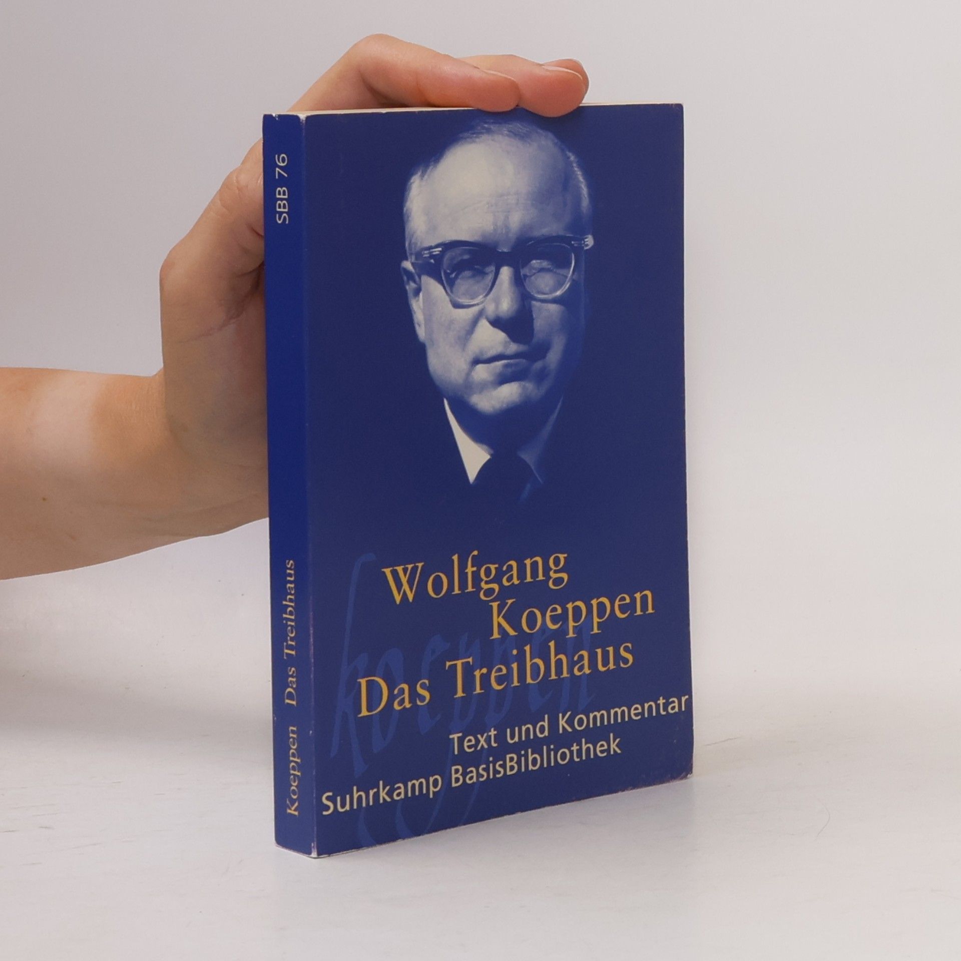 Wolfgang Koeppen Das Treibhaus
