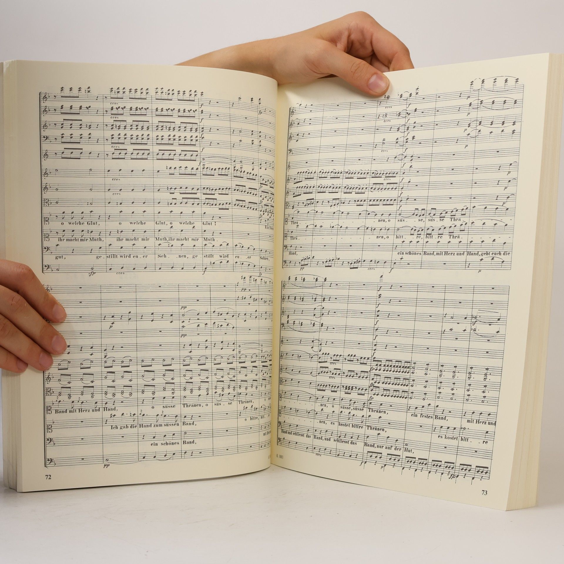 Ludwig van Beethoven Fidelio
