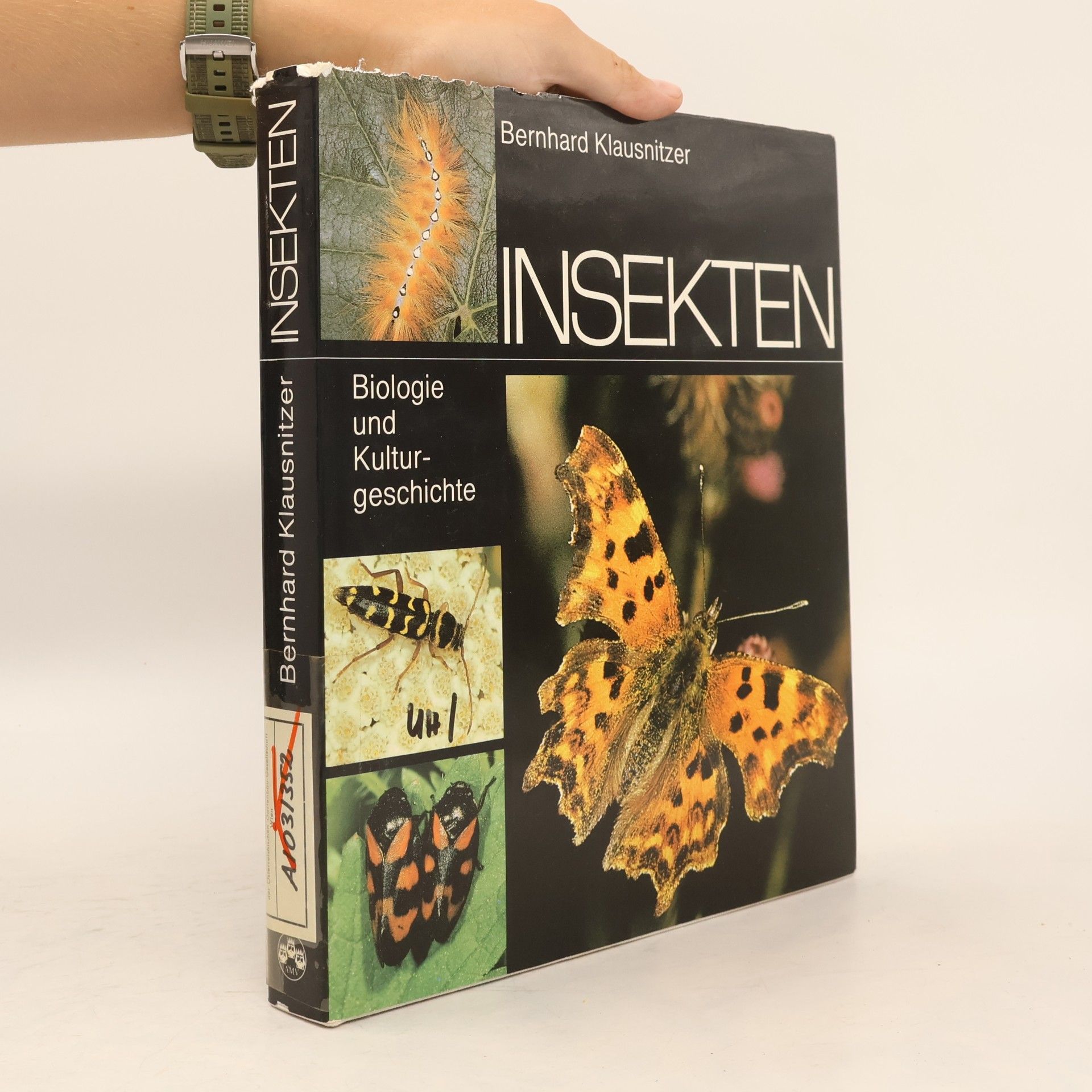Insekten. Biologie und Kulturgeschichte.