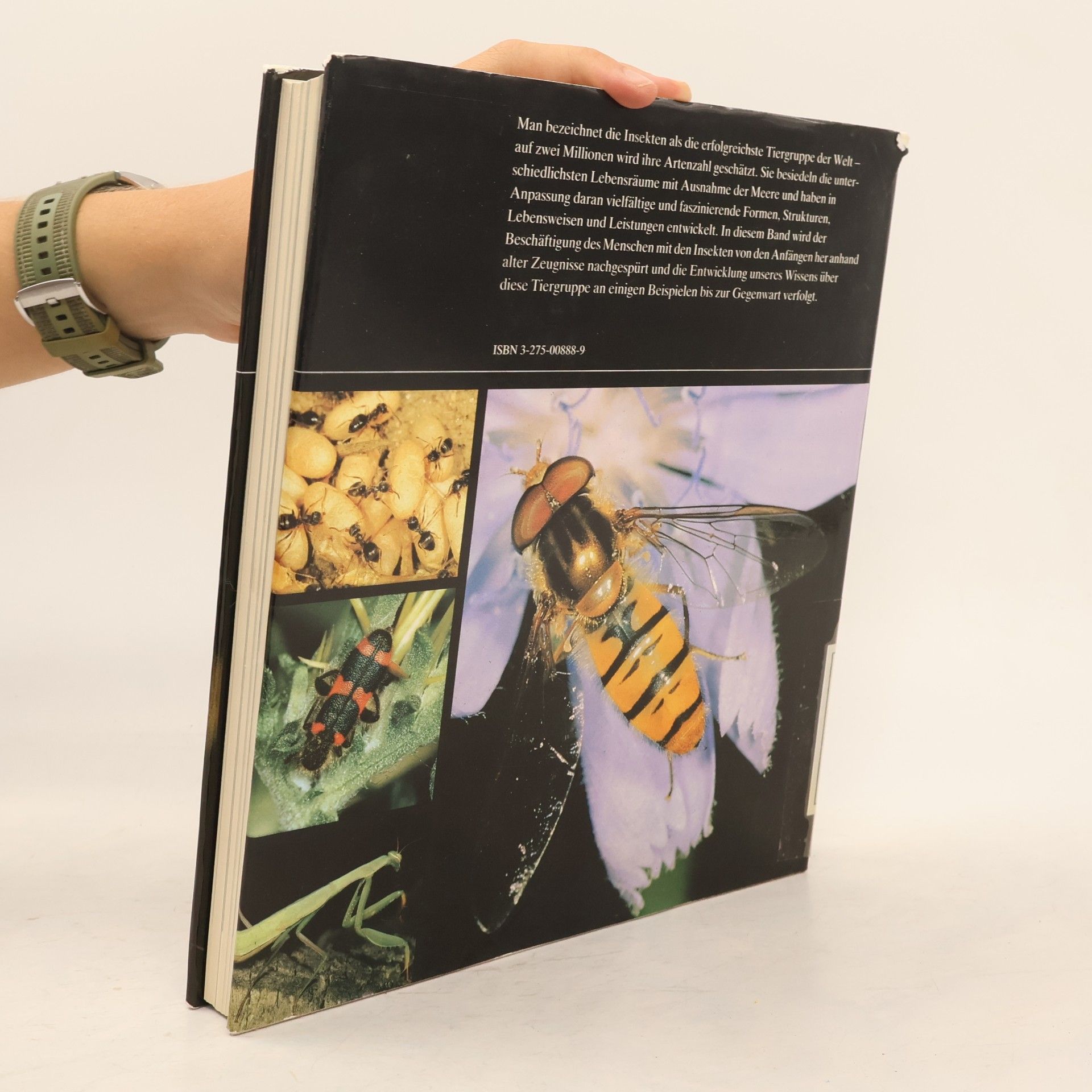 Bernhard Klausnitzer Insekten. Biologie und Kulturgeschichte.