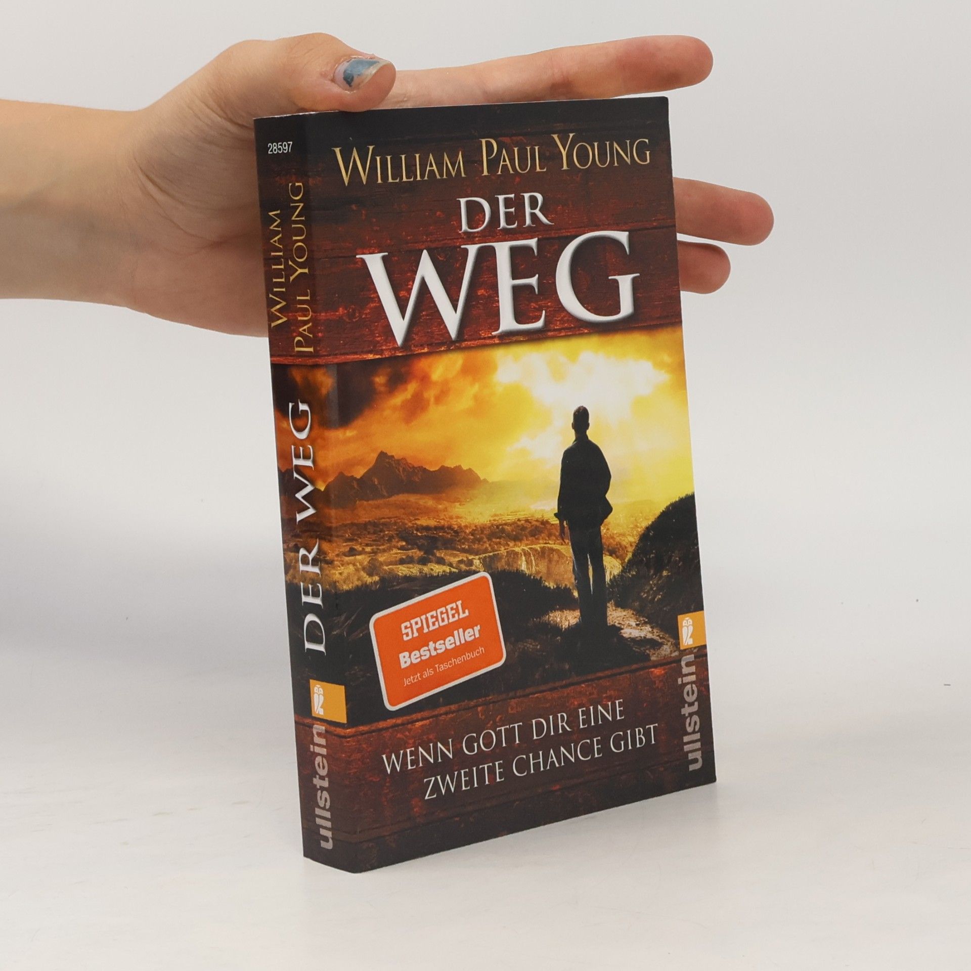 William P. Young Der Weg