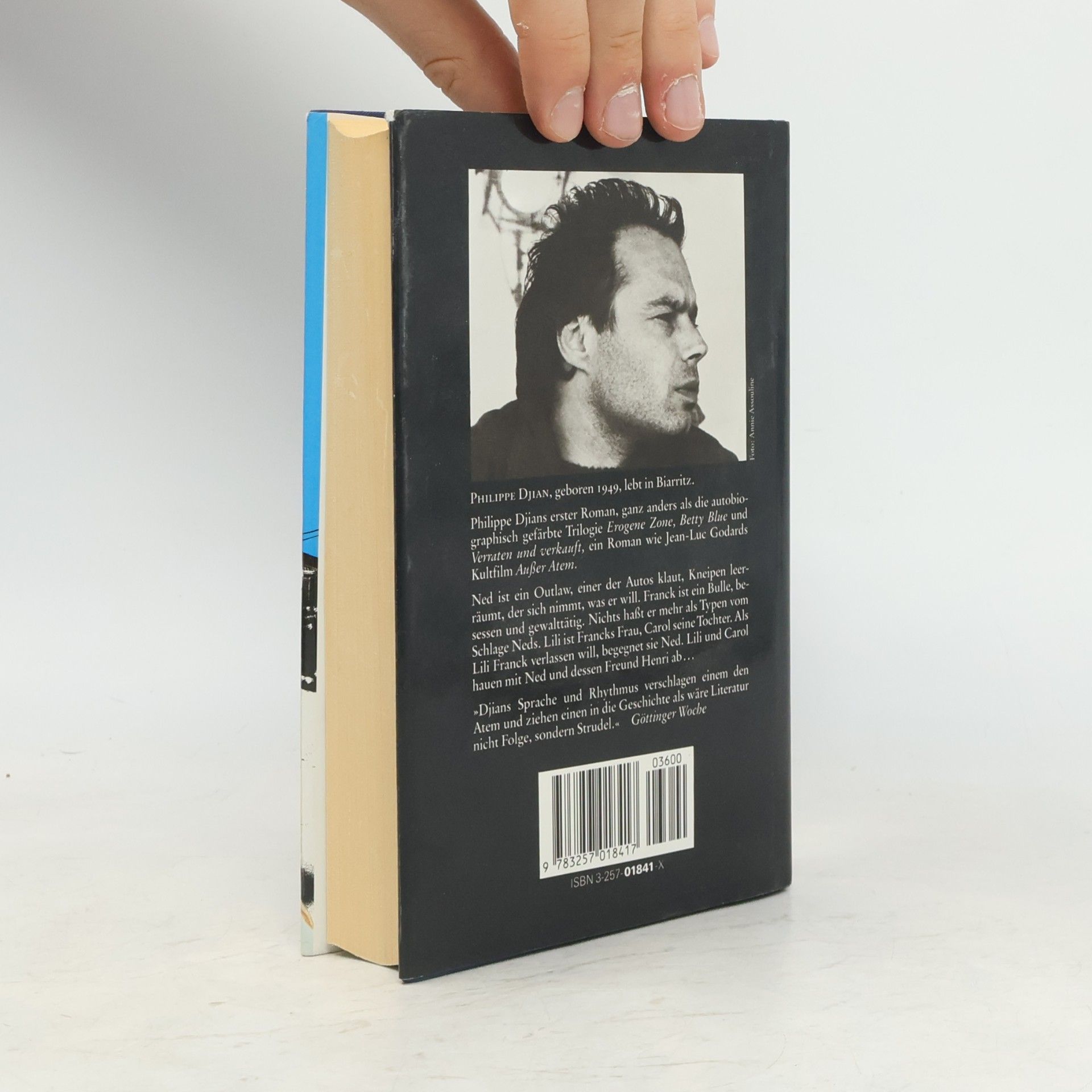 Philippe Djian Blau wie die Hölle. Roman