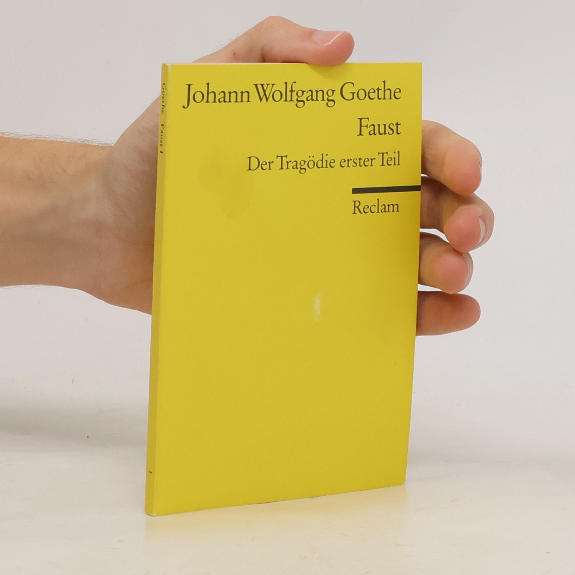 Johann Wolfgang von Goethe Faust : der Tragödie Erster teil