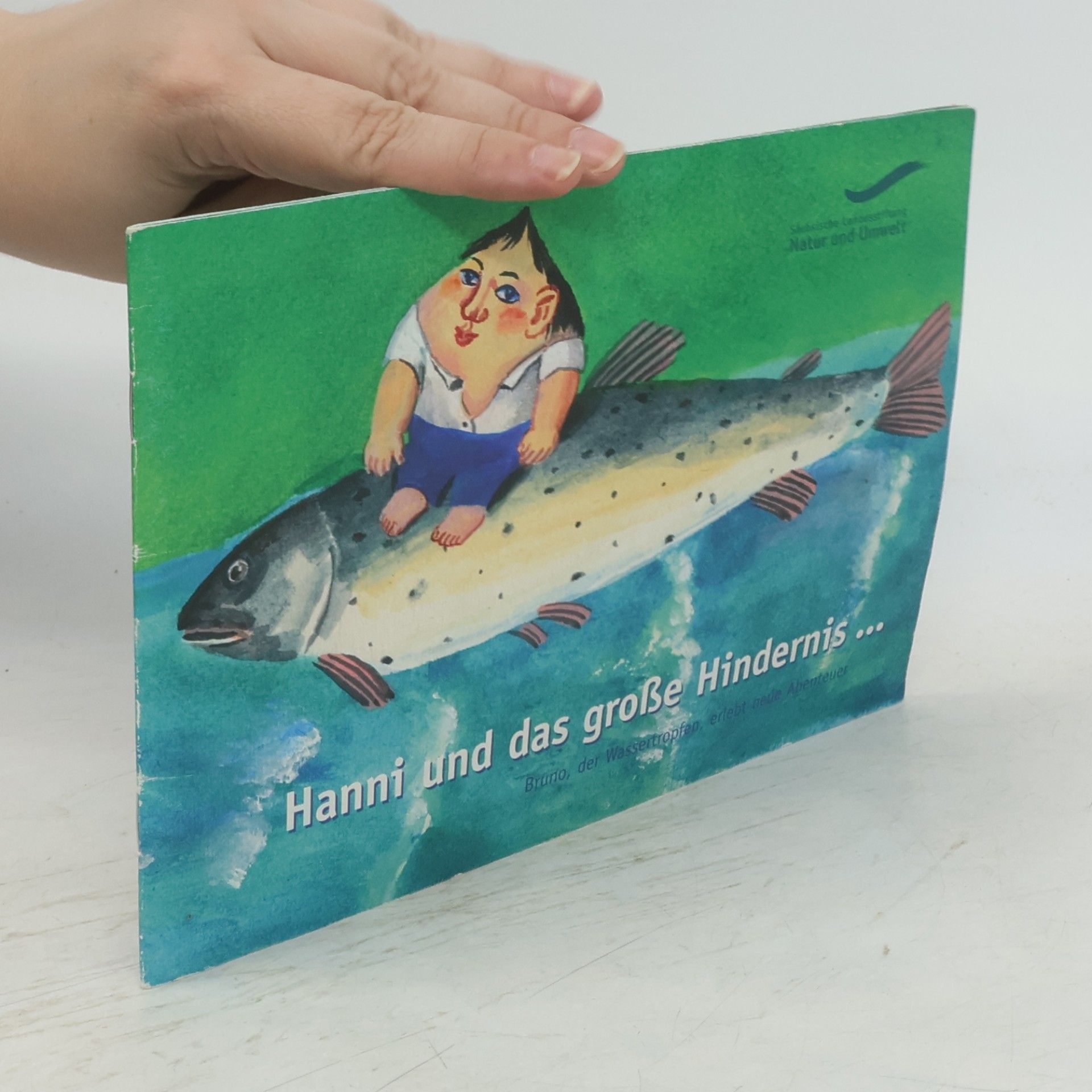 Autorenkollektiv Hanni und das große Hindernis
