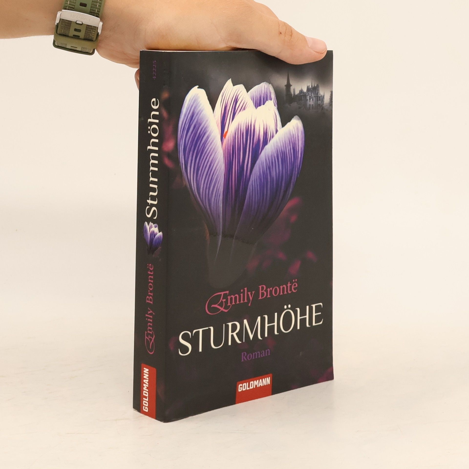 Emily Brontë Sturmhöhe