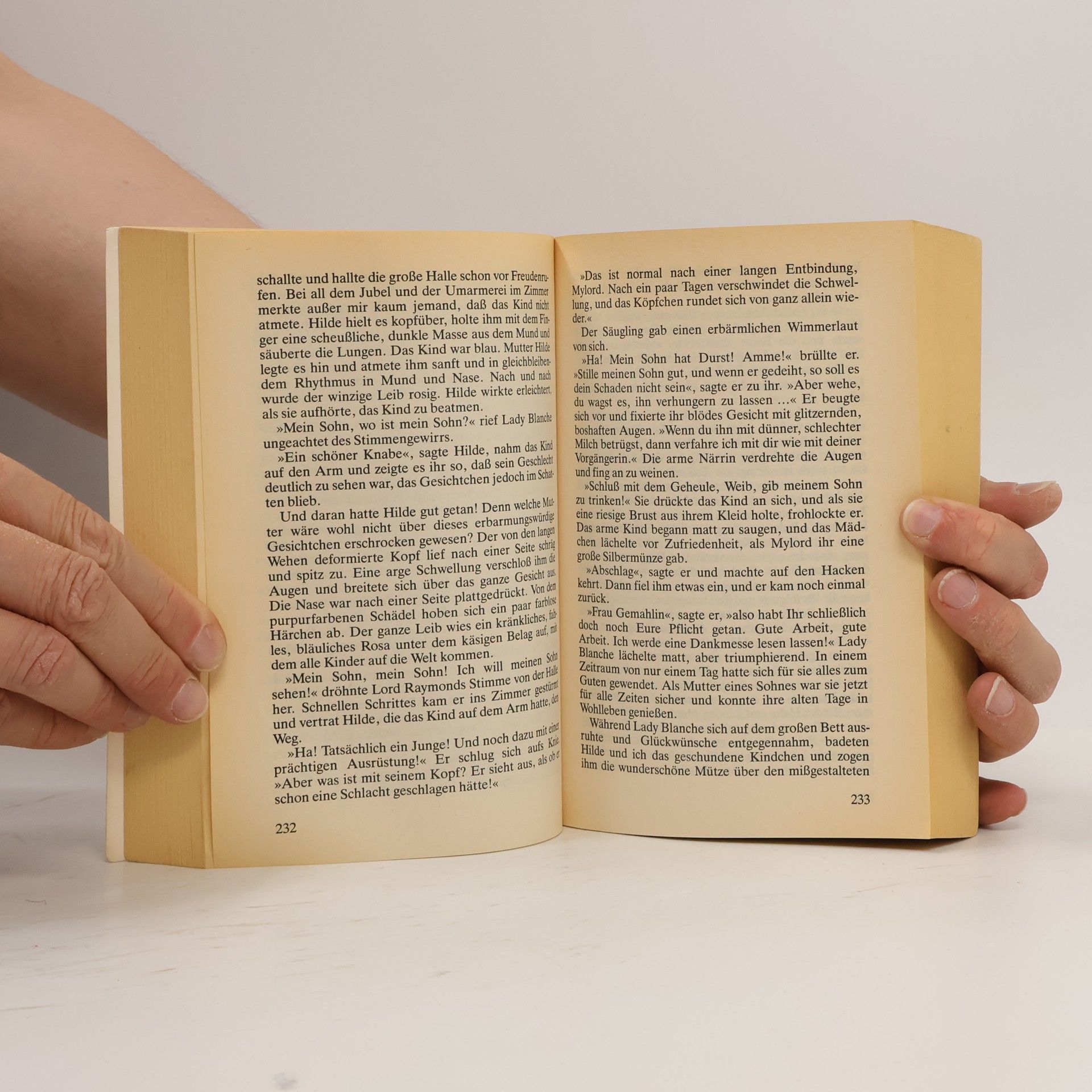 Judith Merkle Riley Die Stimme