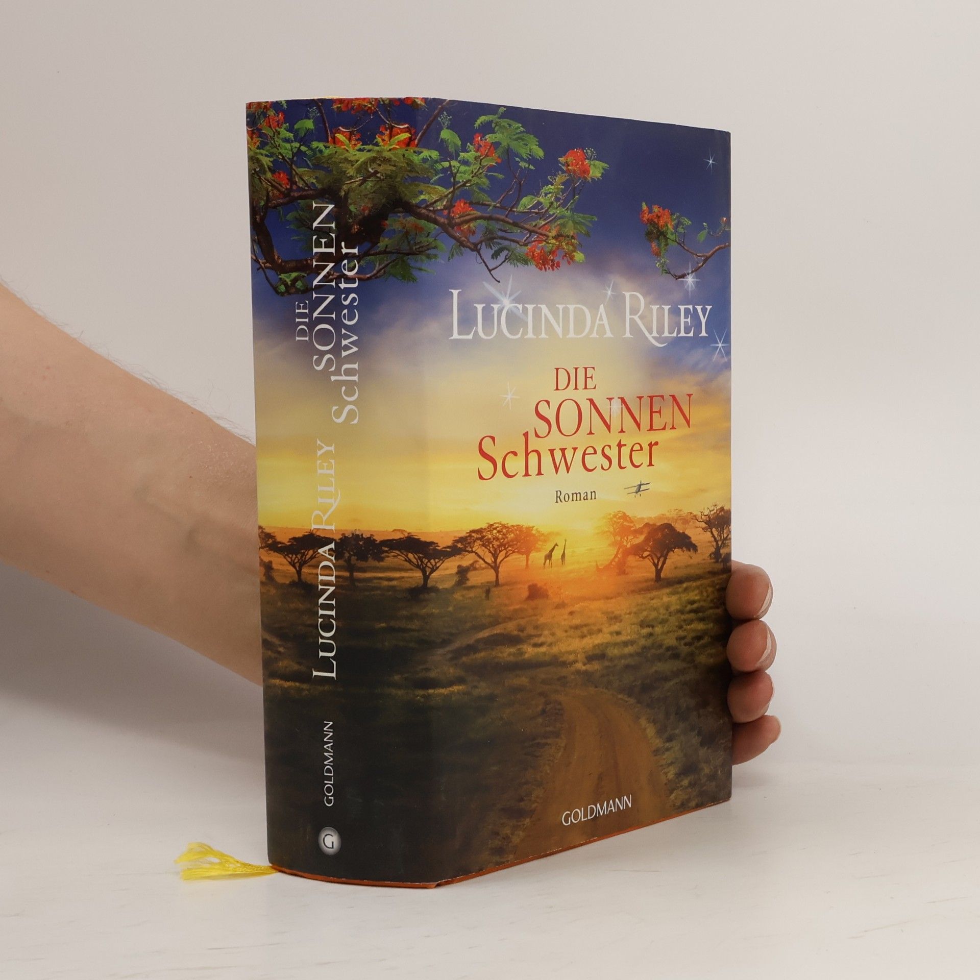 Lucinda Riley Die Sonnenschwester