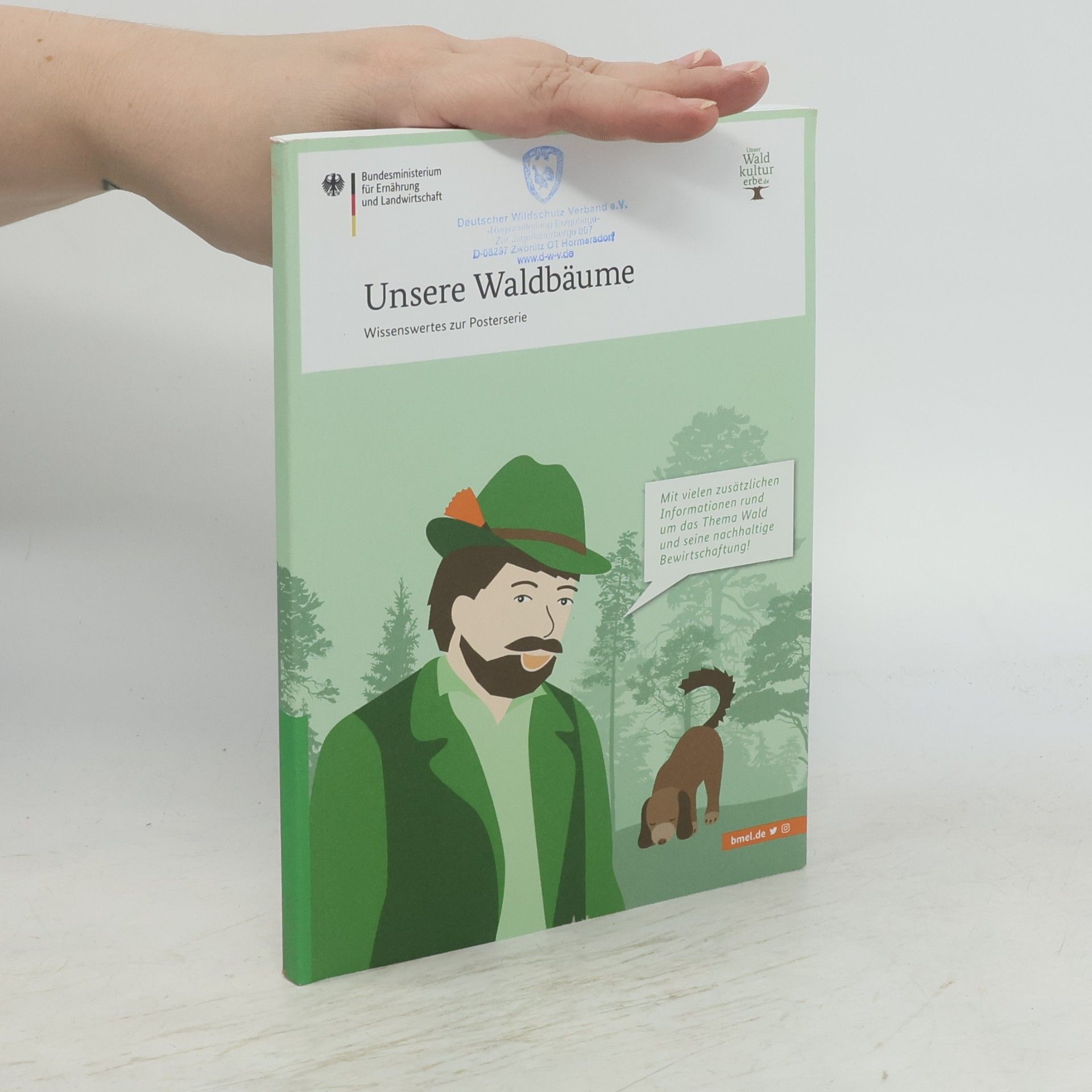Autorenkollektiv Unsere Waldbäume