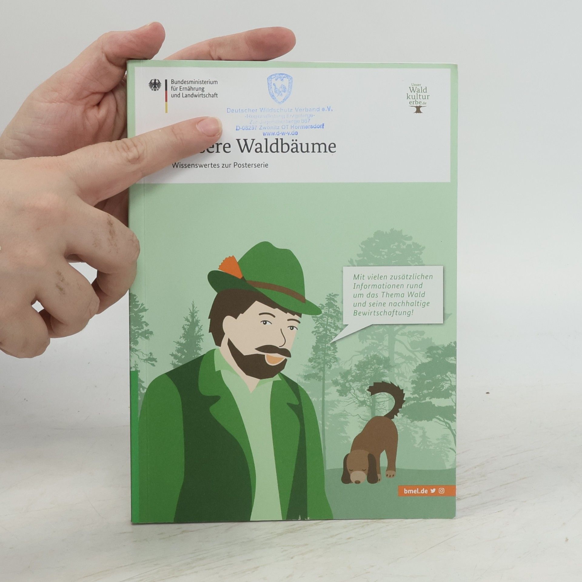 Autorenkollektiv Unsere Waldbäume